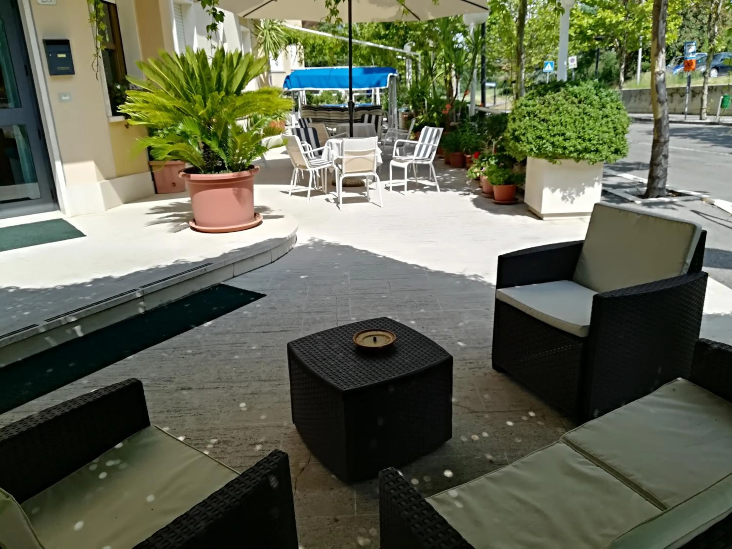 Garden in Hotel Saturno