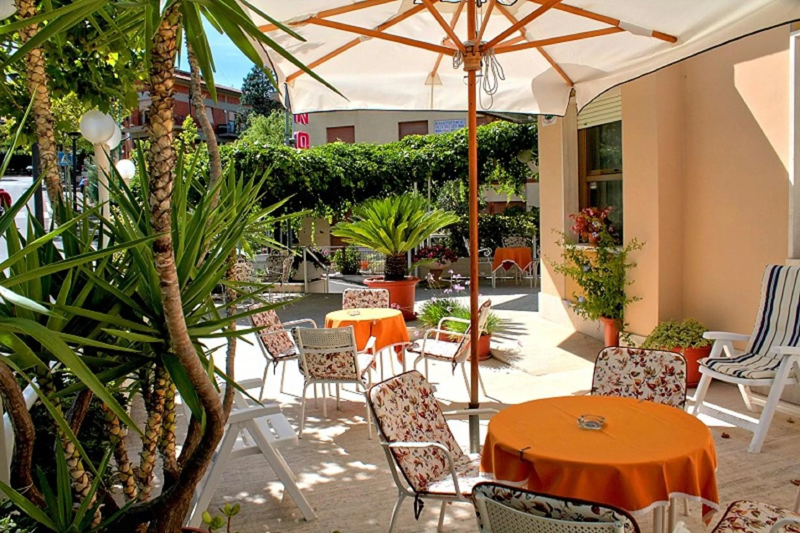 Garden in Hotel Saturno