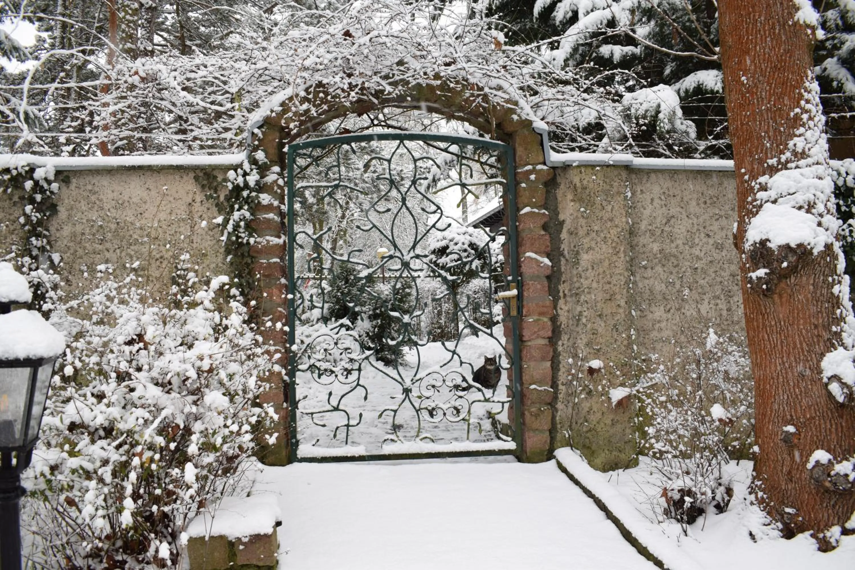 Winter in Hotel Seeschlösschen