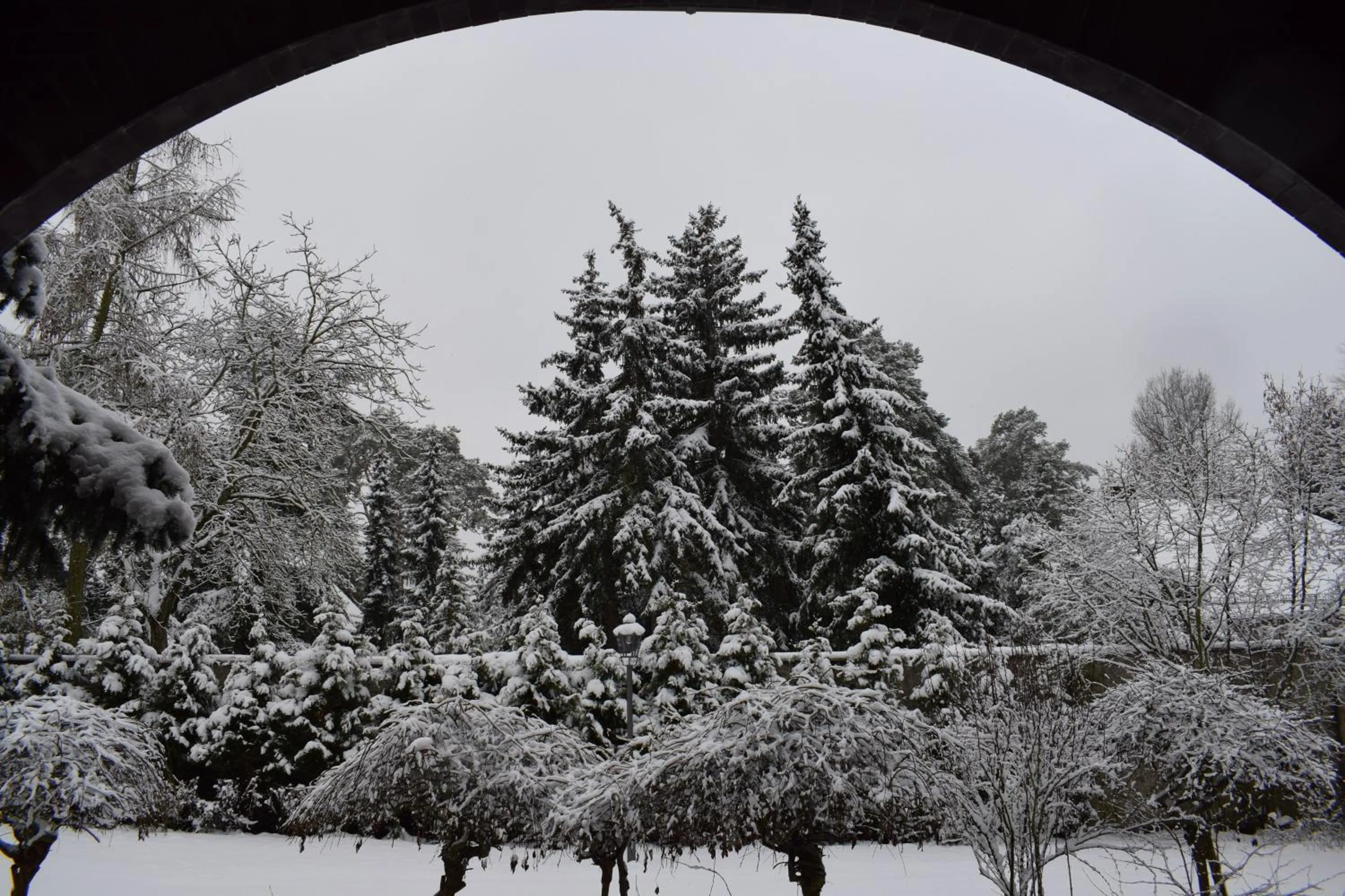 Natural landscape in Hotel Seeschlösschen