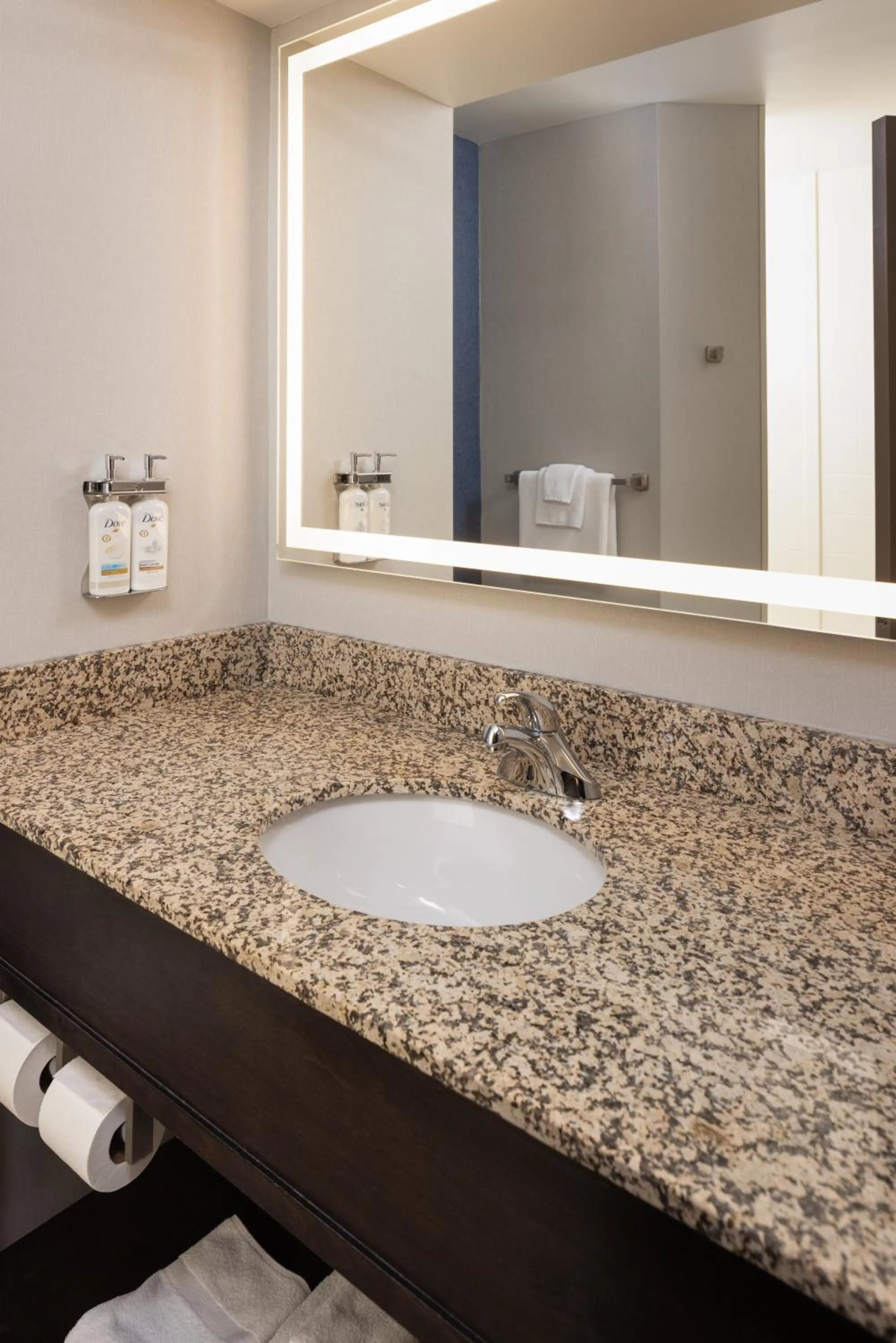 Bathroom in Holiday Inn Express Moline - Quad Cities Area by IHG