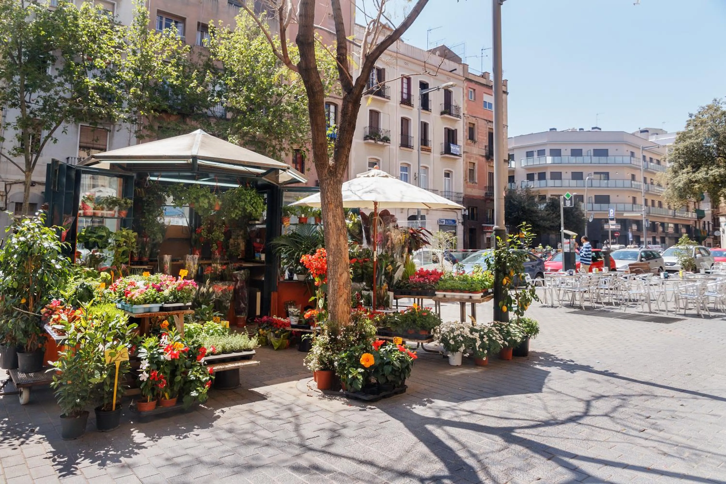 Area and facilities in Feelathome Plaza Apartments