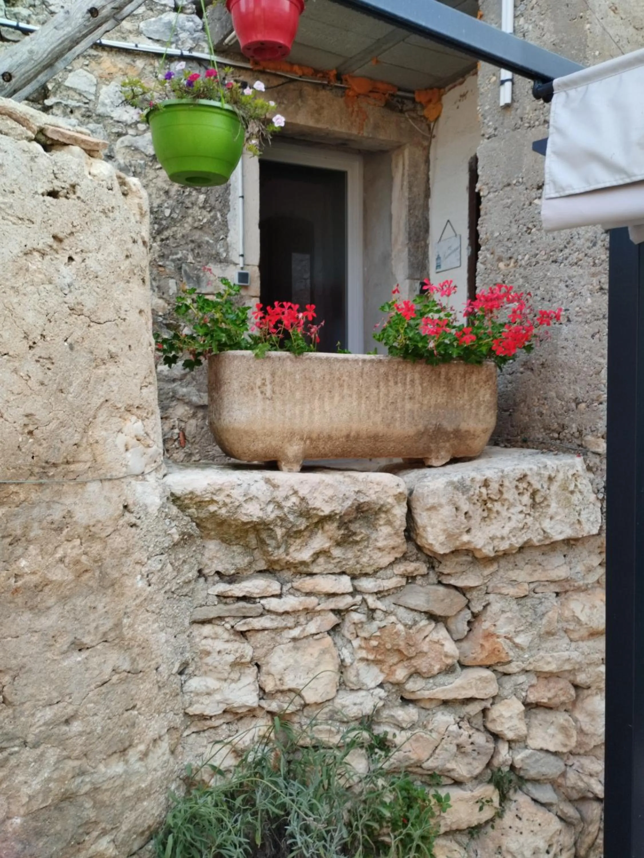 Garden in L atelier de RAYMOND