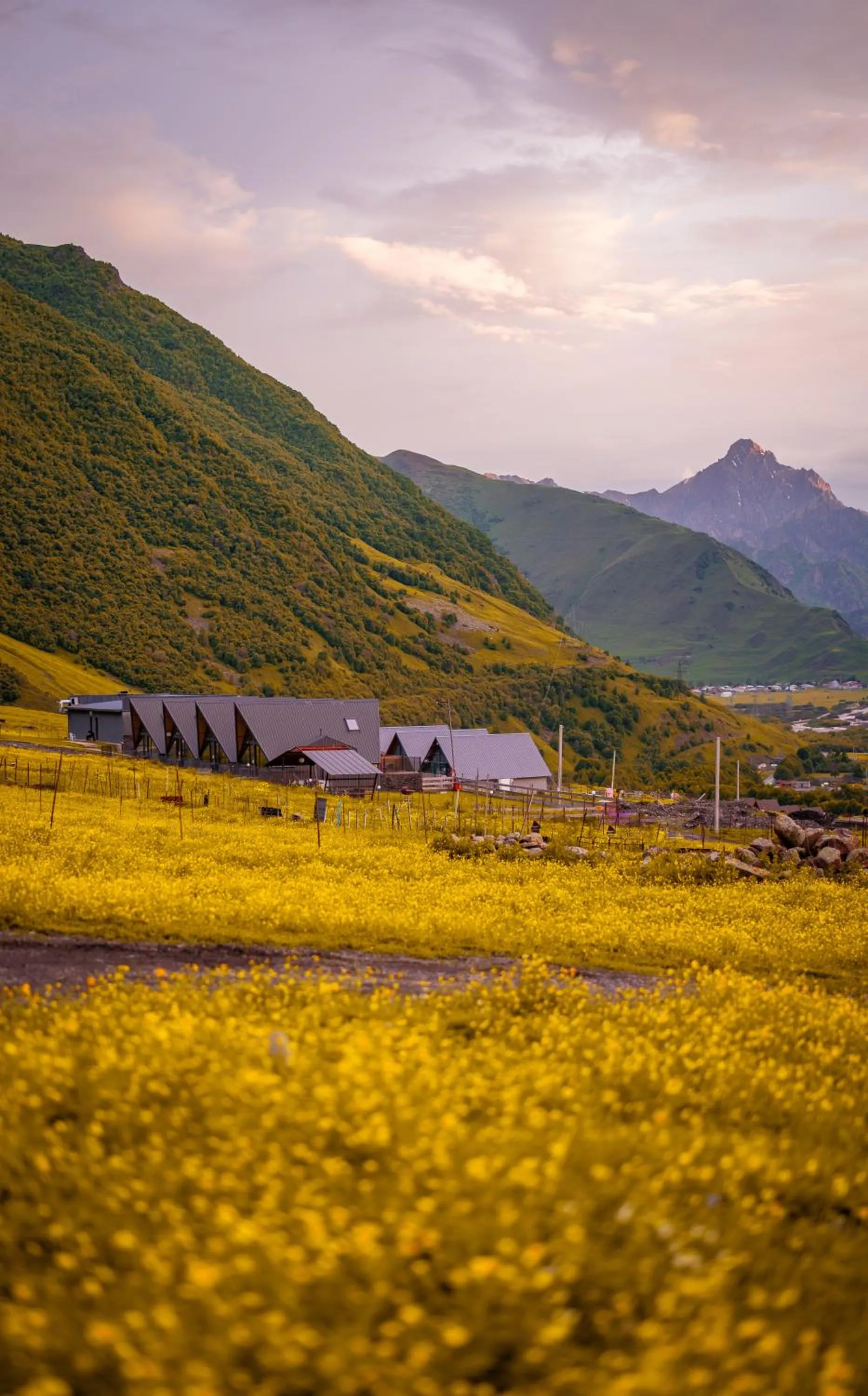 Day in Step Inn - Kazbegi