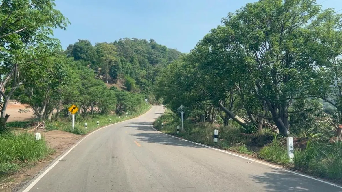 Spring in My Story Doichang Chiangrai