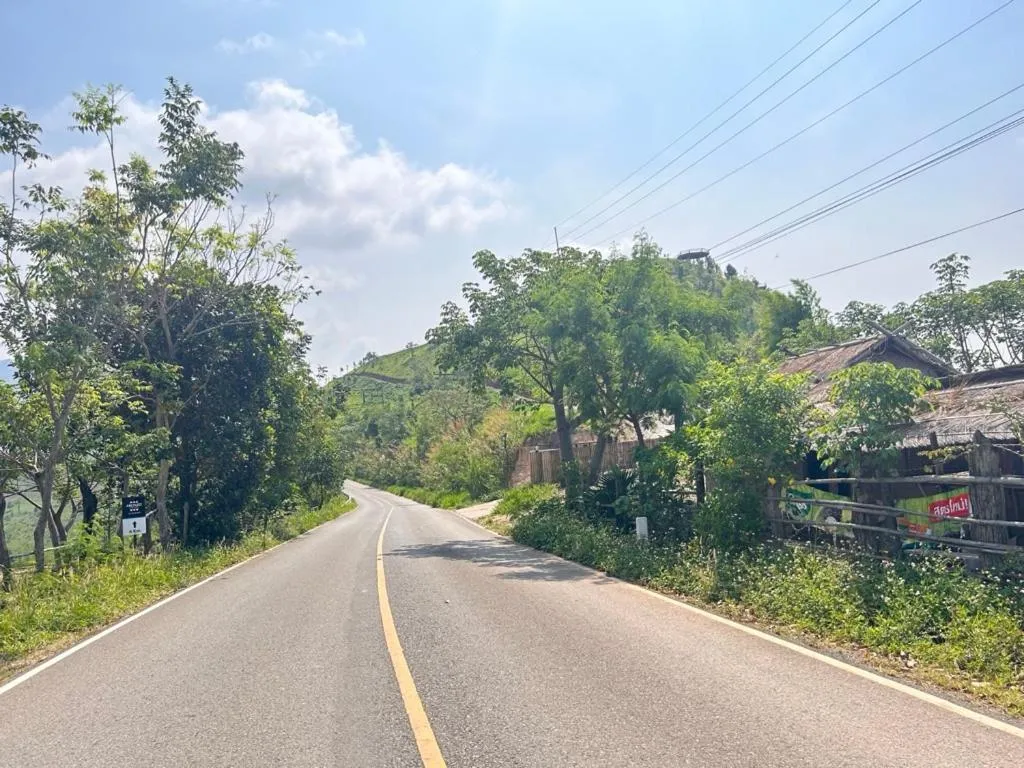 Spring in My Story Doichang Chiangrai