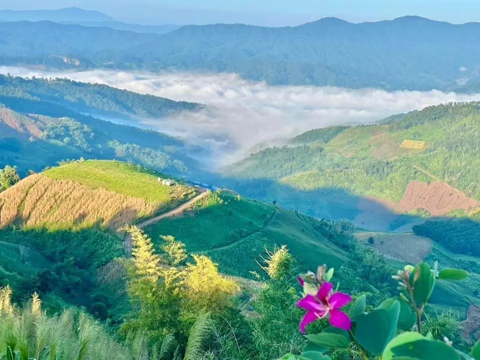 My Story Doichang Chiangrai