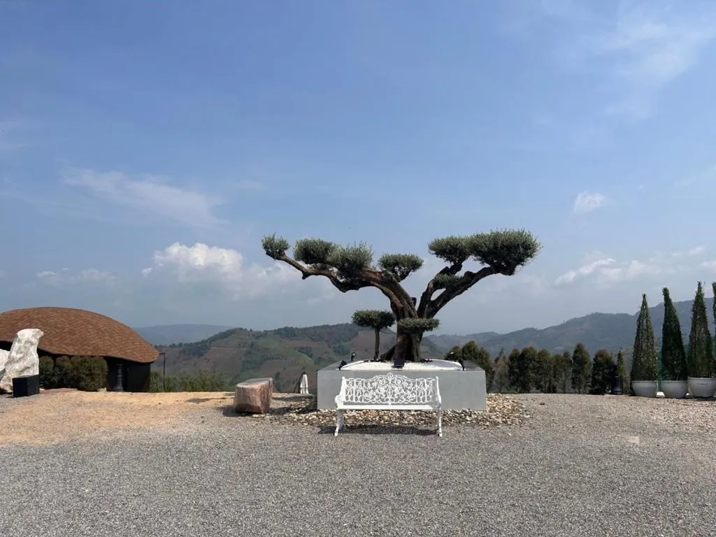 Day in My Story Doichang Chiangrai