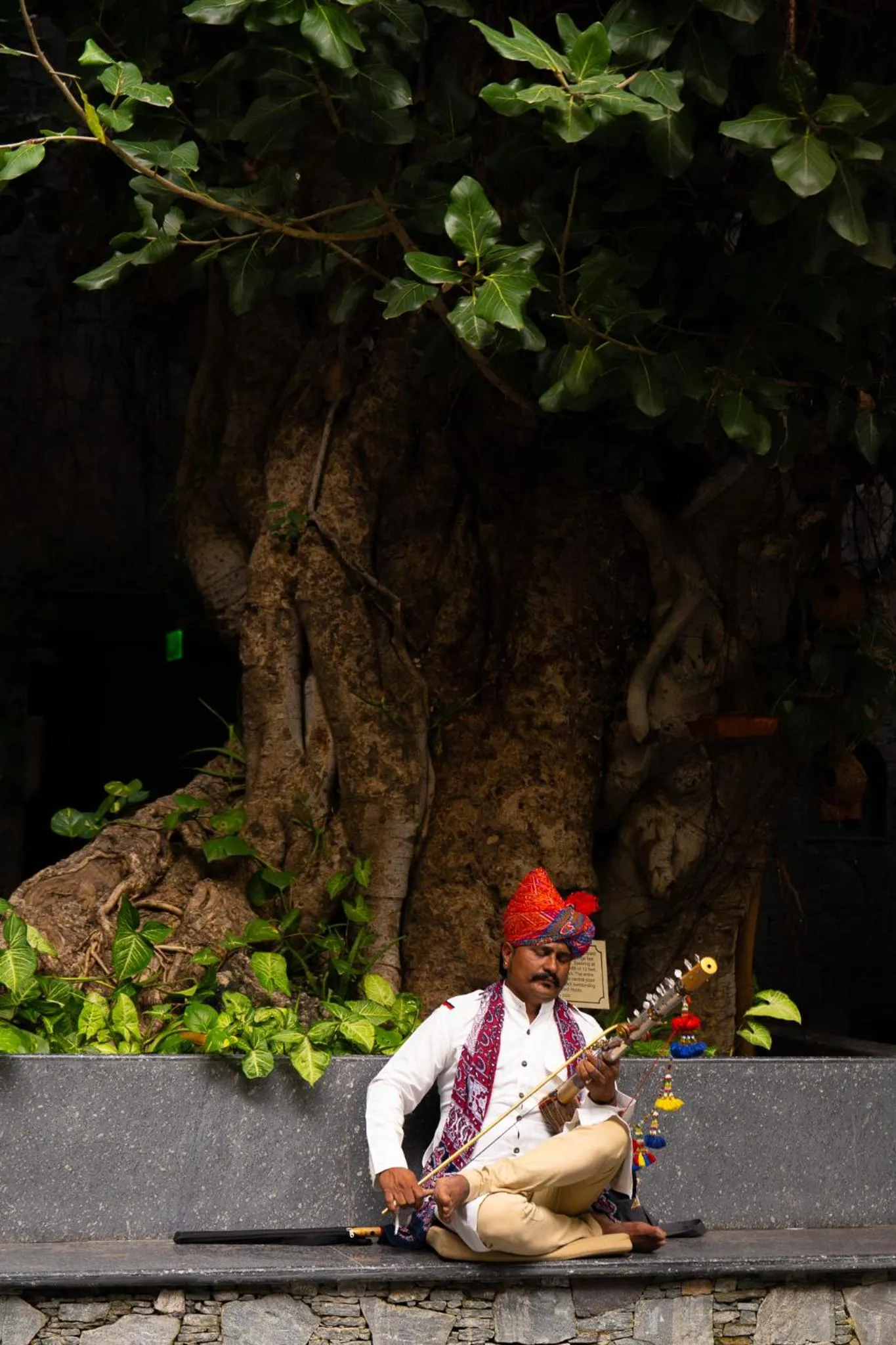 Restaurant/places to eat in Radisson Blu Resort Kumbhalgarh