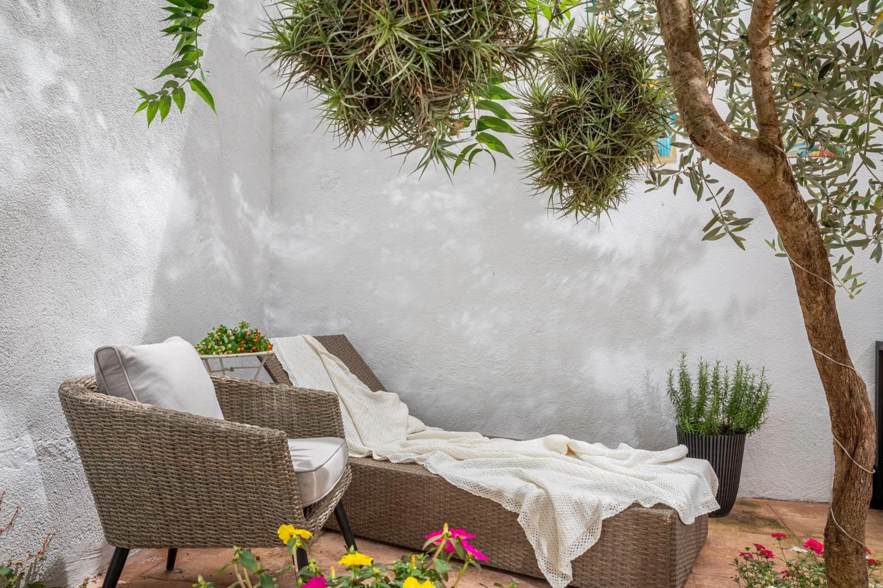 Garden in Carme -Alojamiento céntrico en Girona