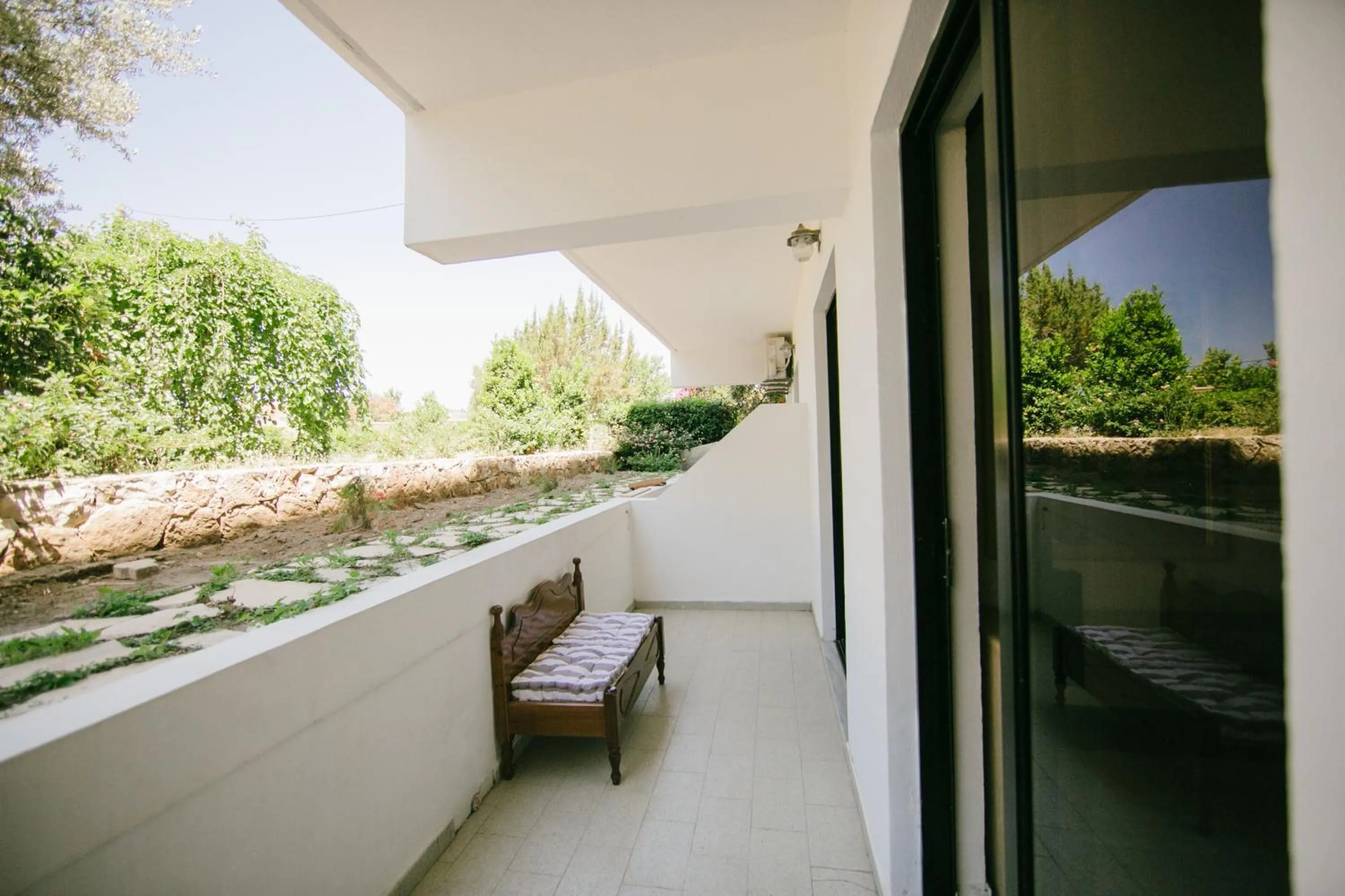 Garden in Gorgona Studios