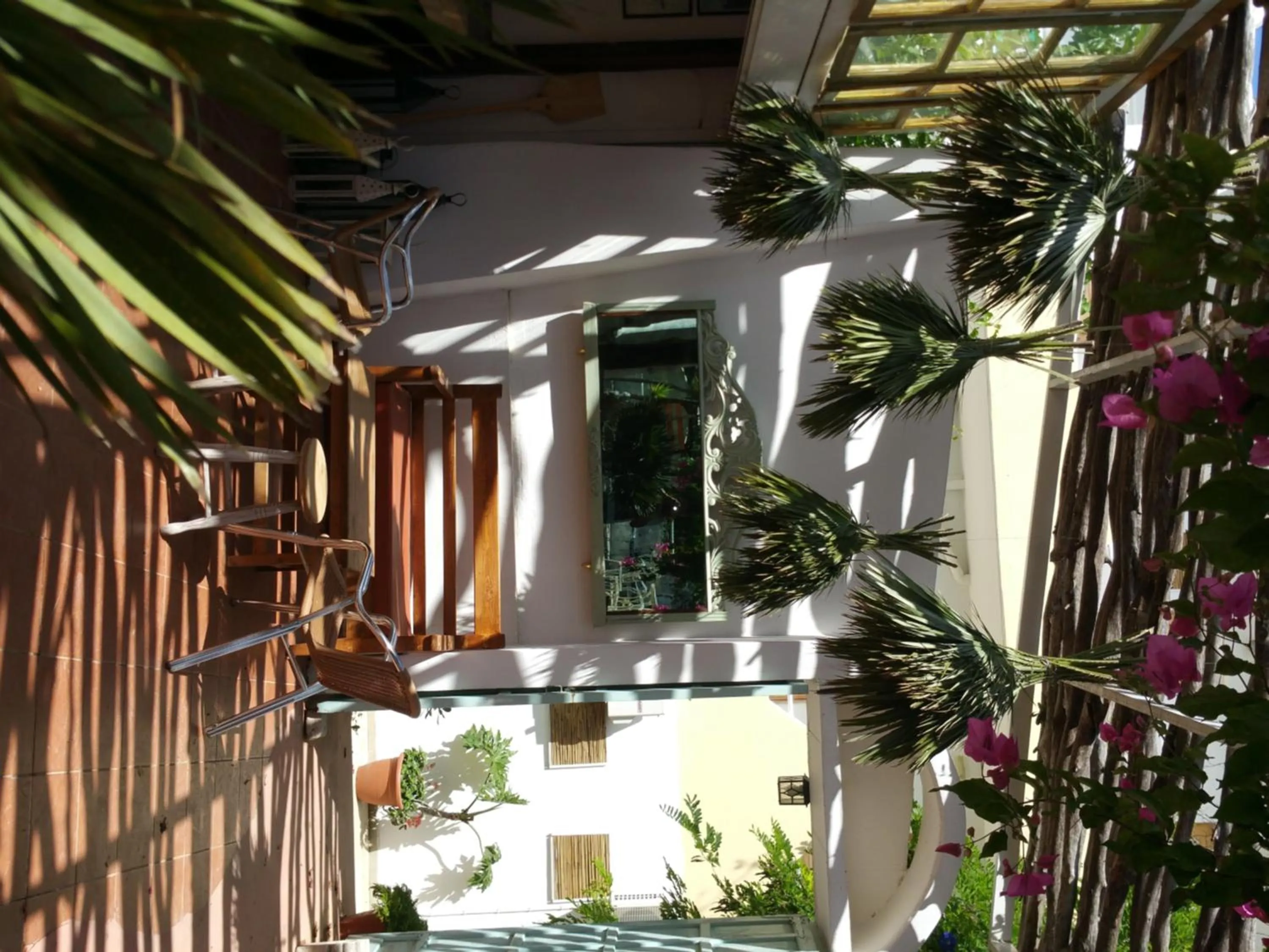 Garden in Gorgona Studios