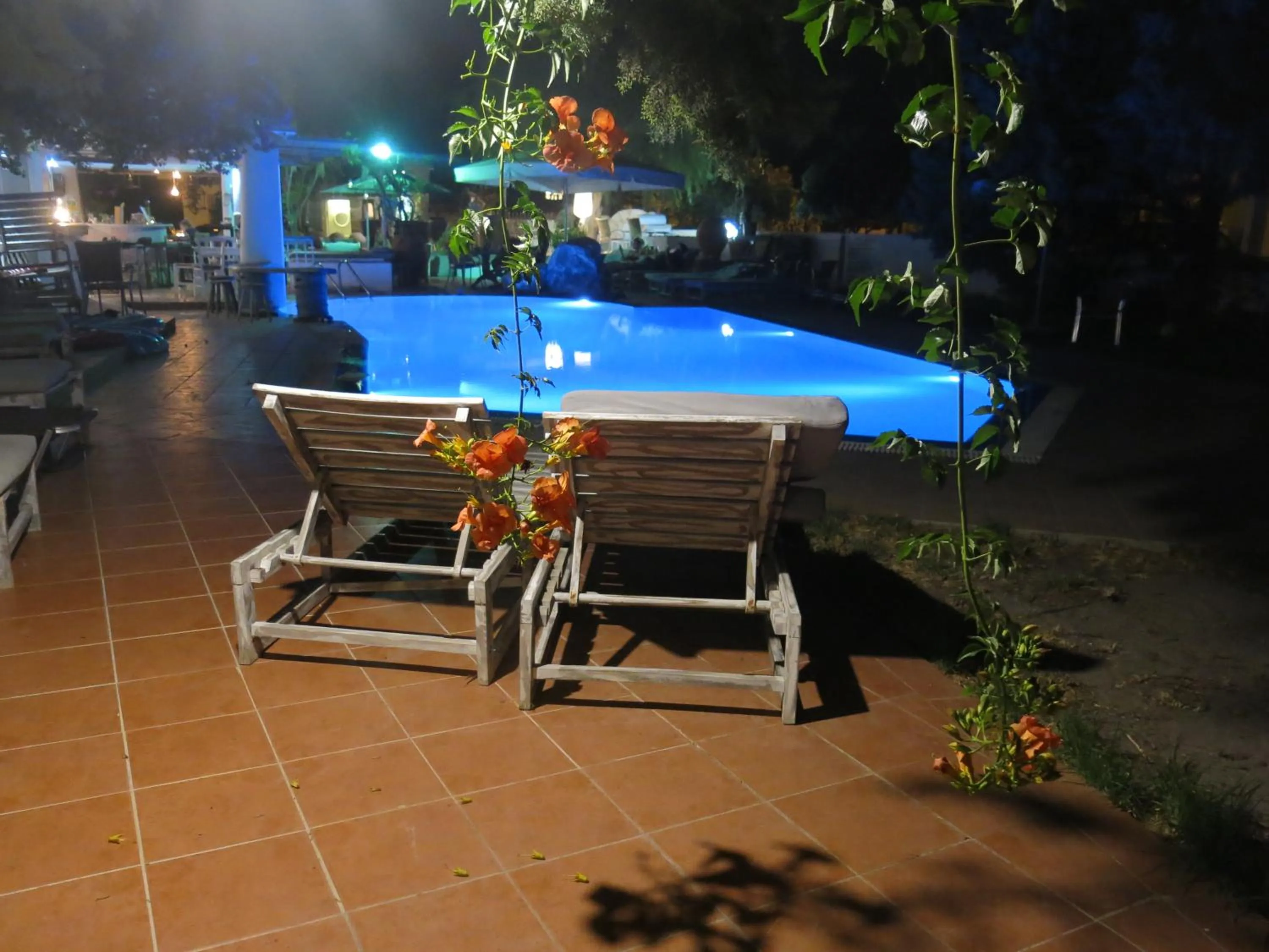 Entertainment in Gorgona Studios