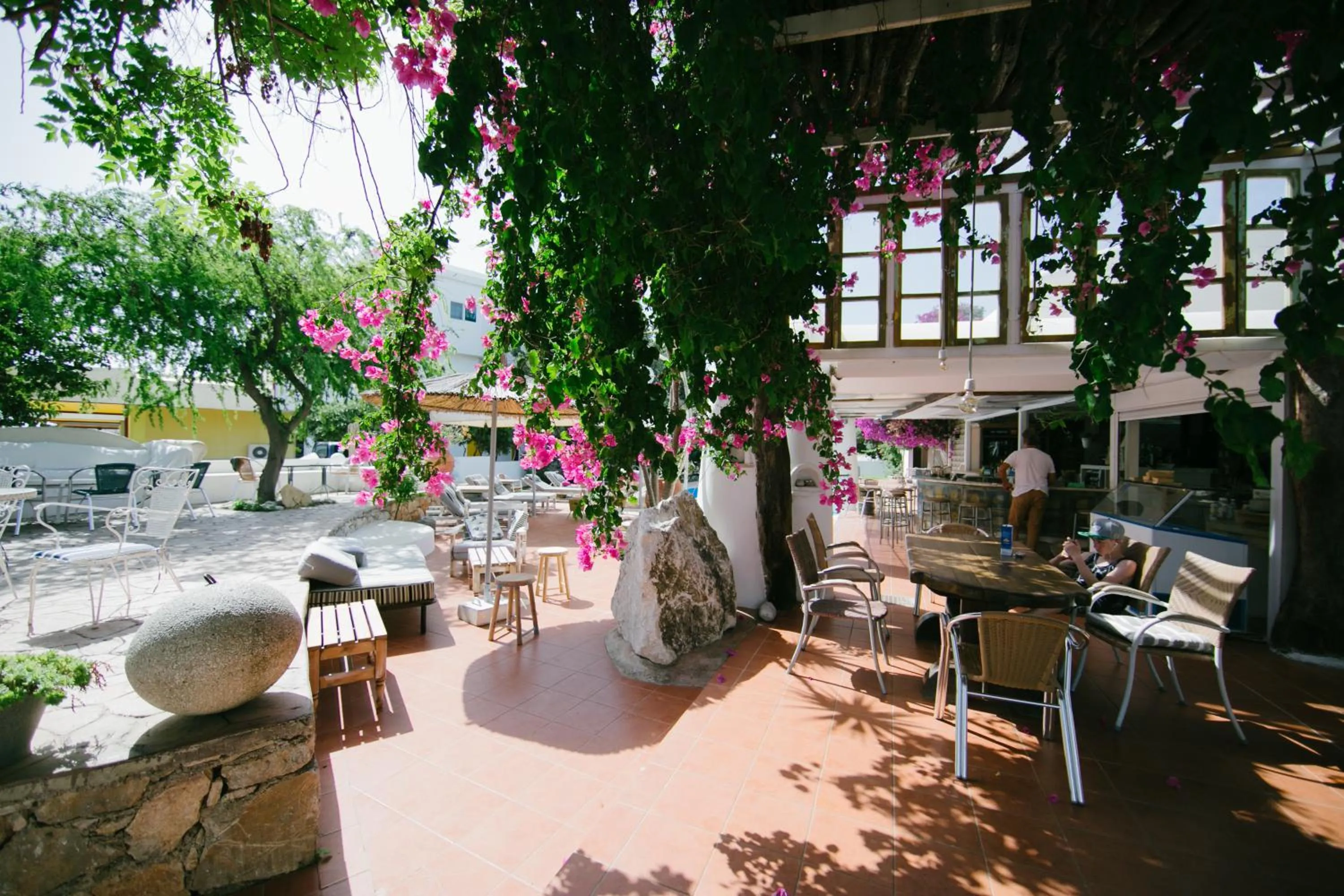 Garden in Gorgona Studios