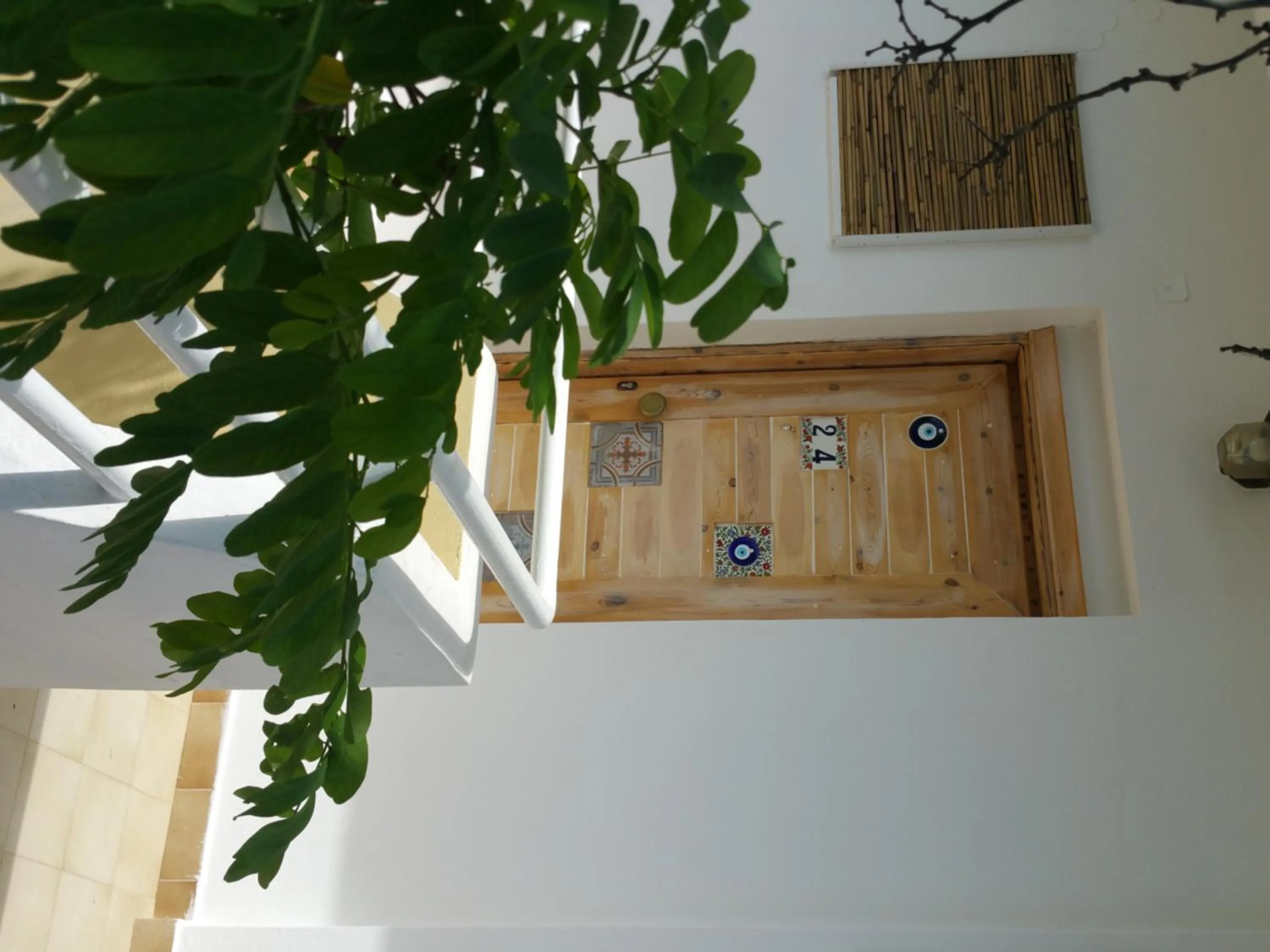 Decorative detail in Gorgona Studios