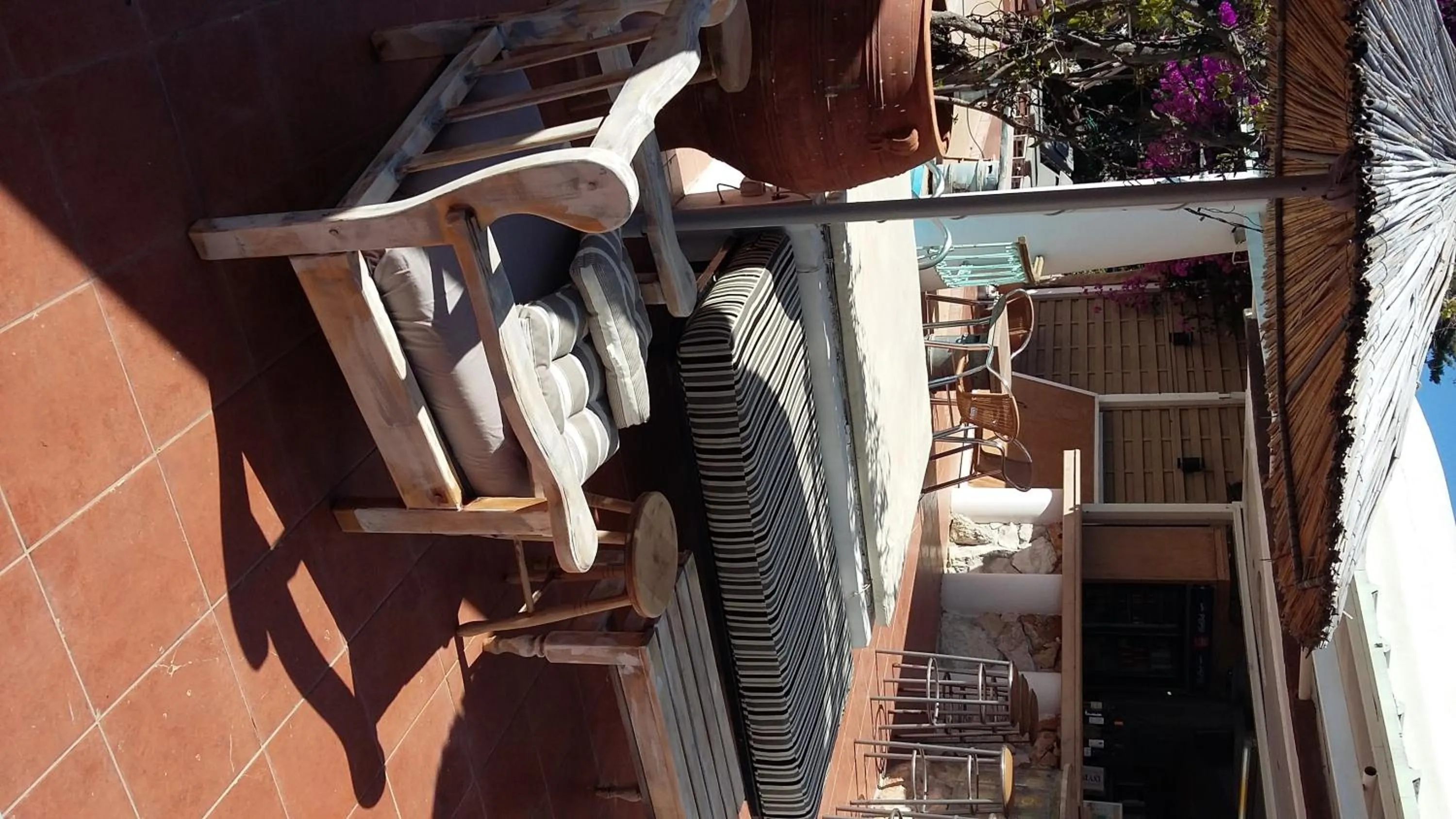 Garden in Gorgona Studios