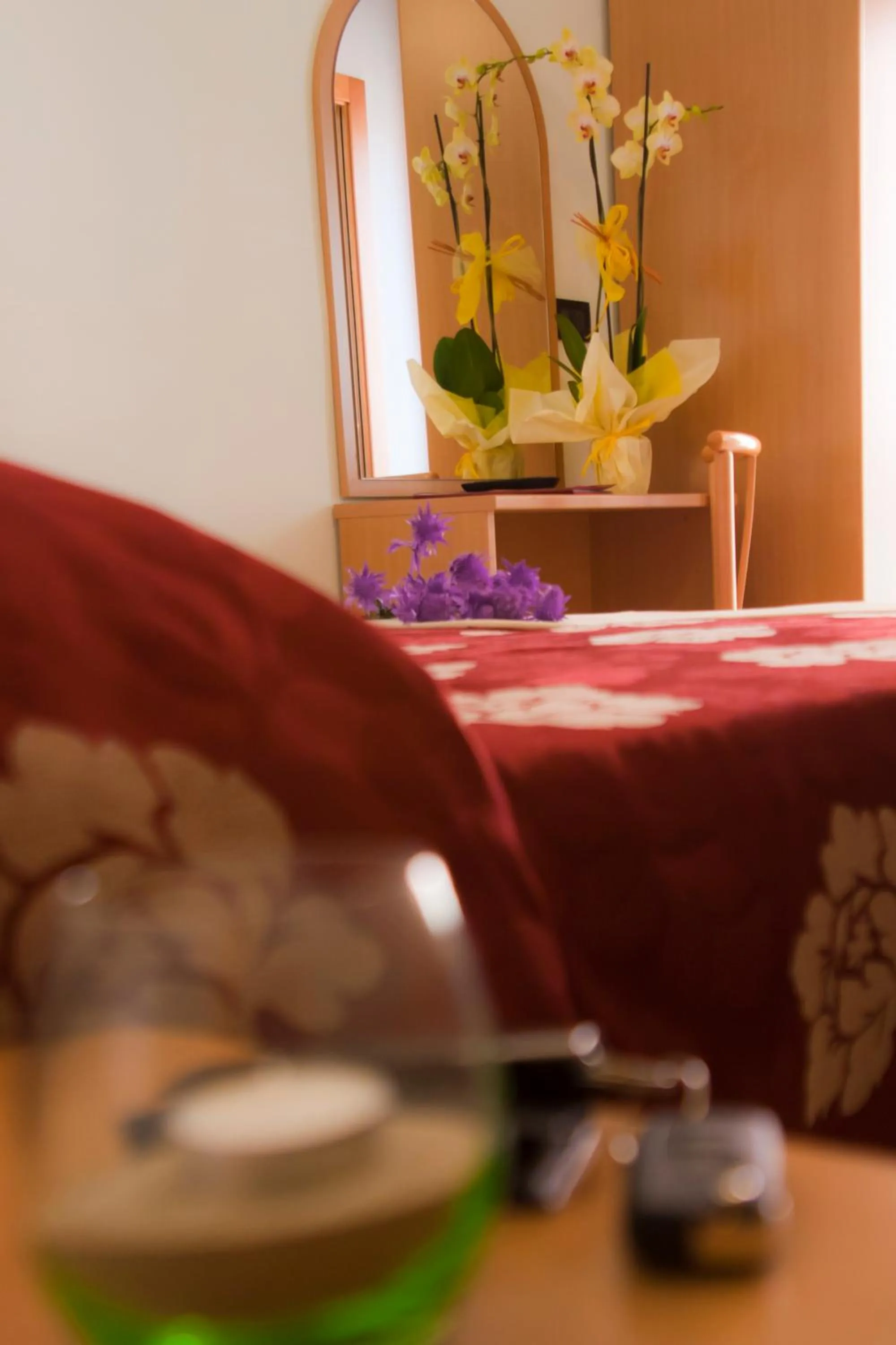 Photo of the whole room in Hotel Hamilton