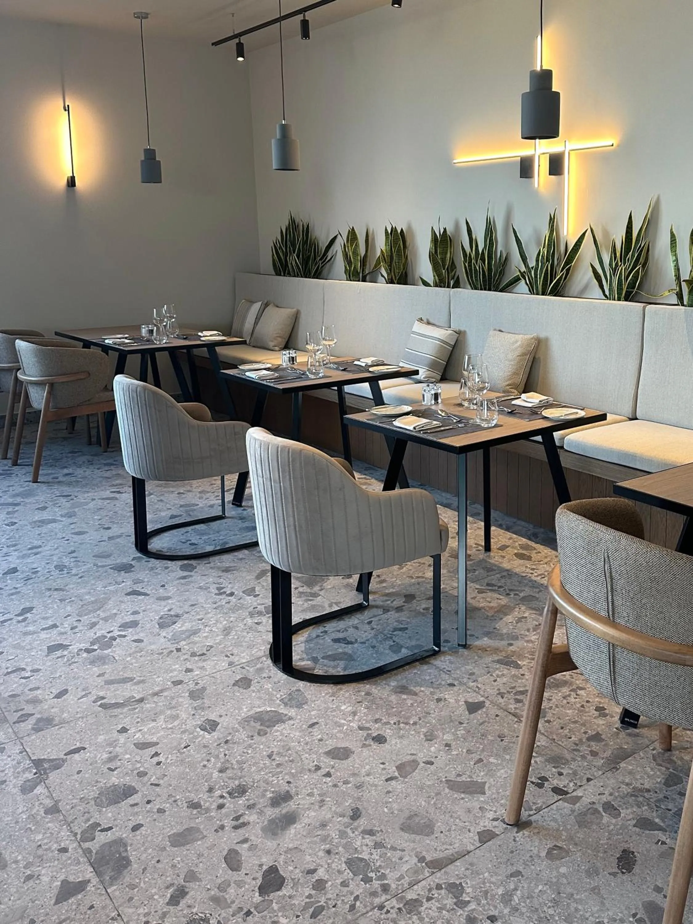 Restaurant/places to eat in King Jason Zante – Designed for Adults