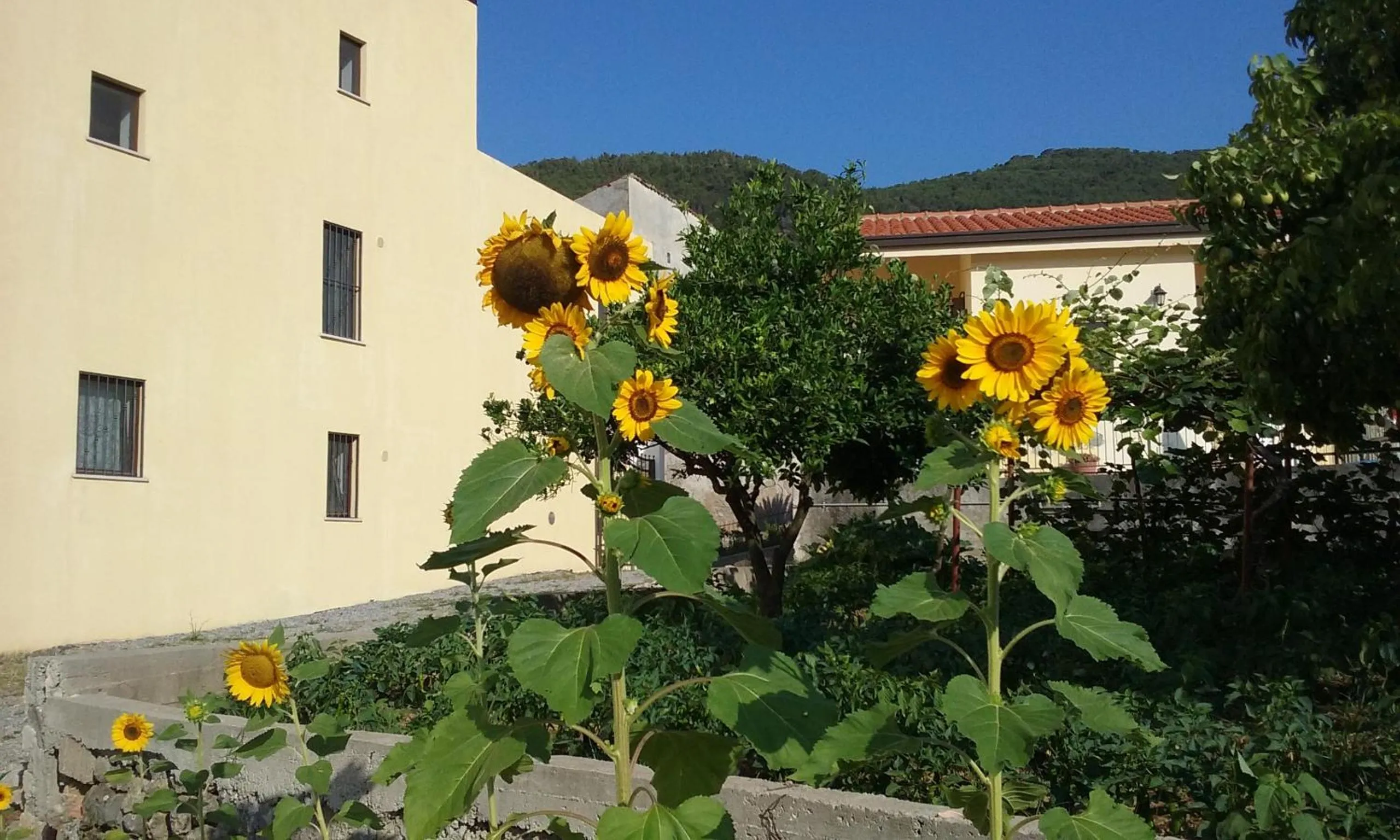 Property building in Il Giardino di Julia B&B