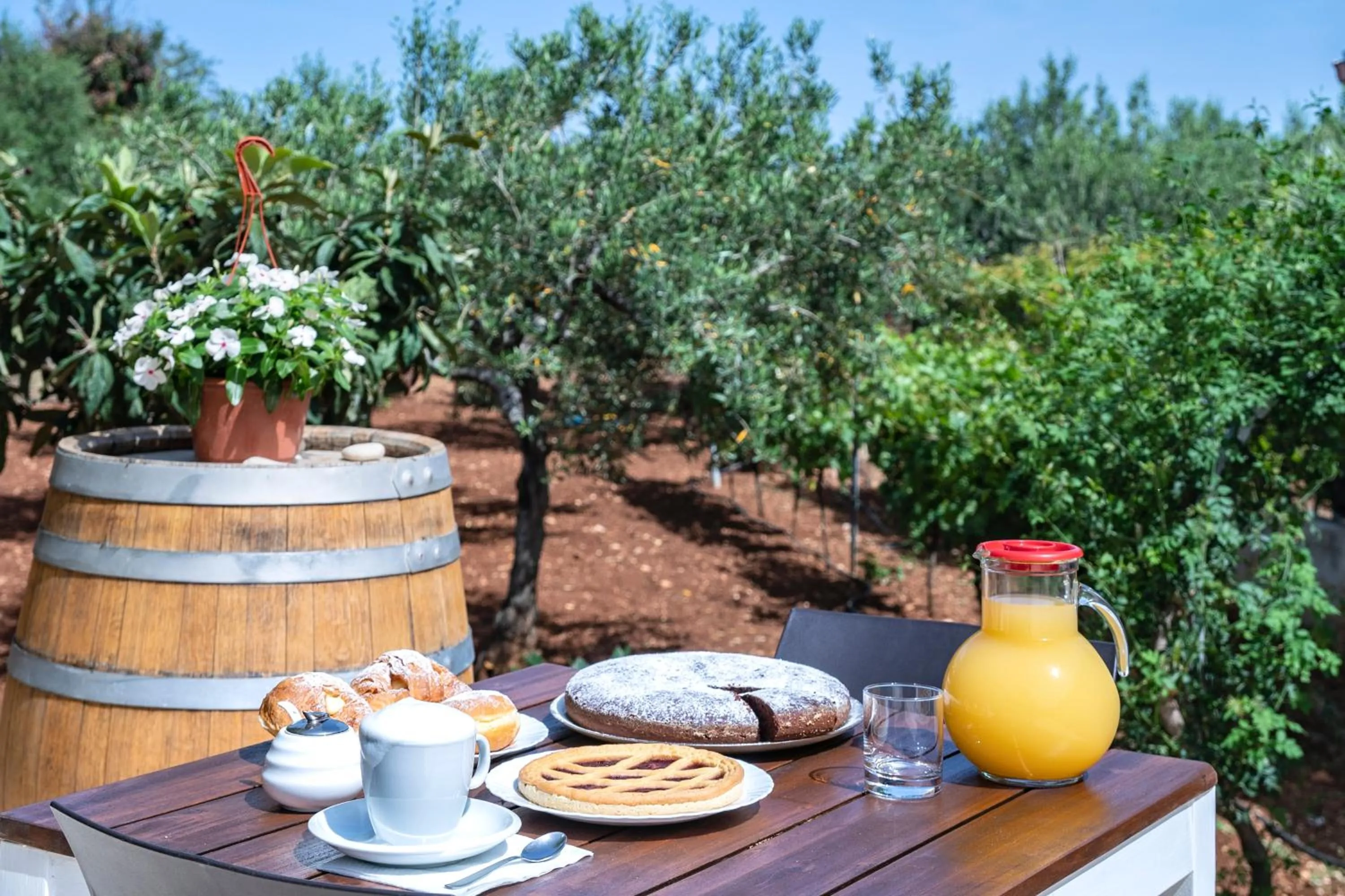 Garden in B&B Pietre Preziose