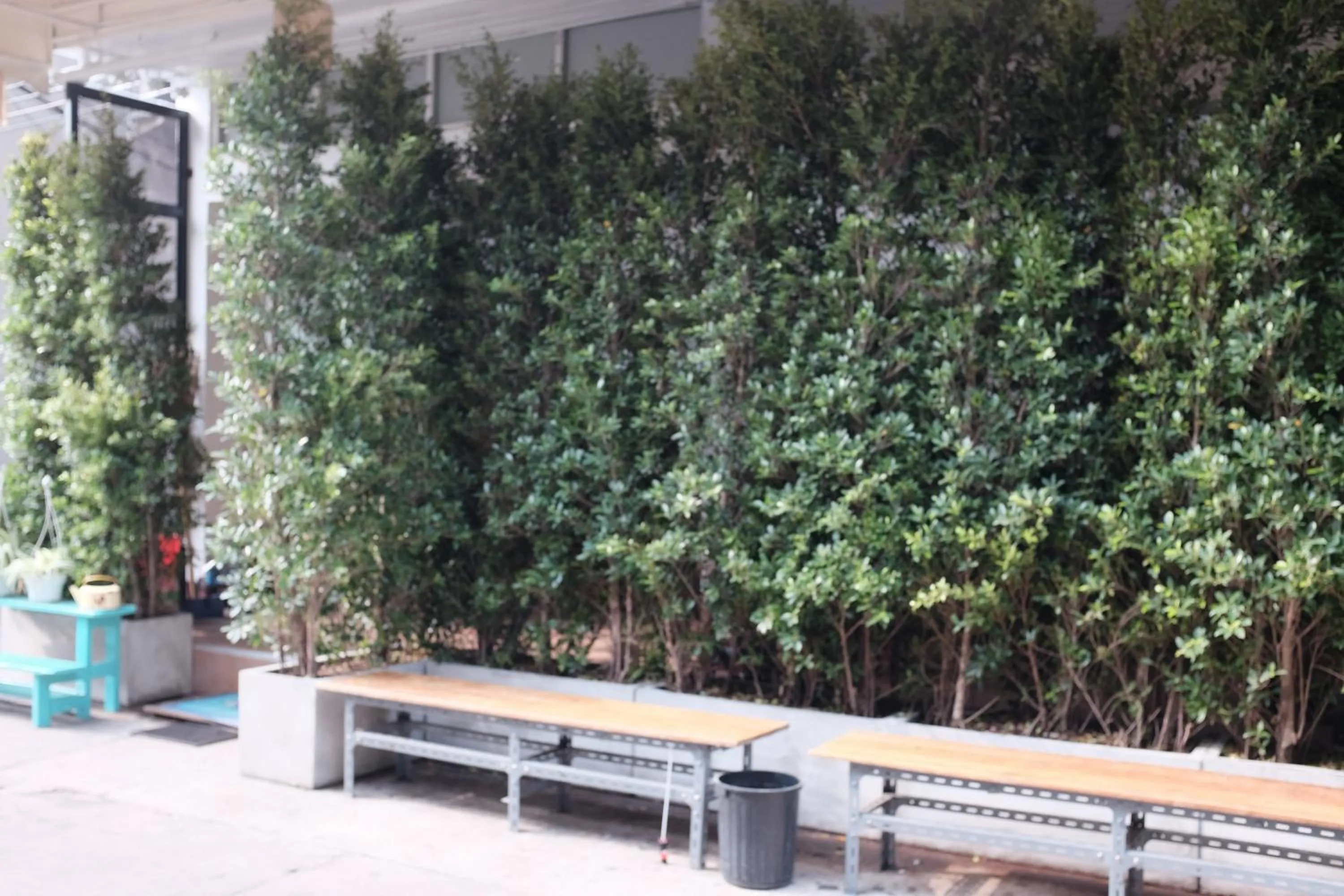 Garden in PLOY Hostel