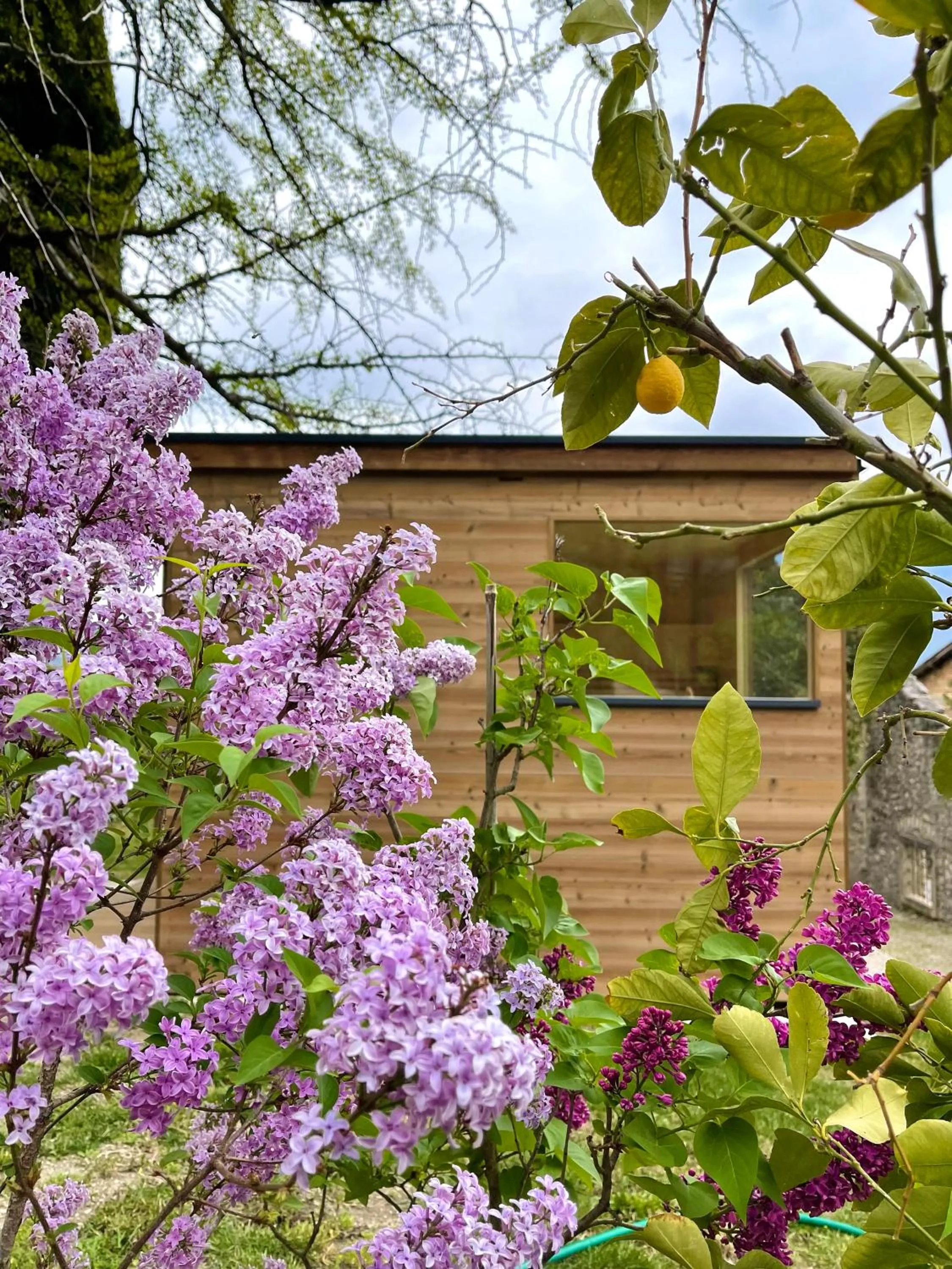 Sauna in Villa Angelica