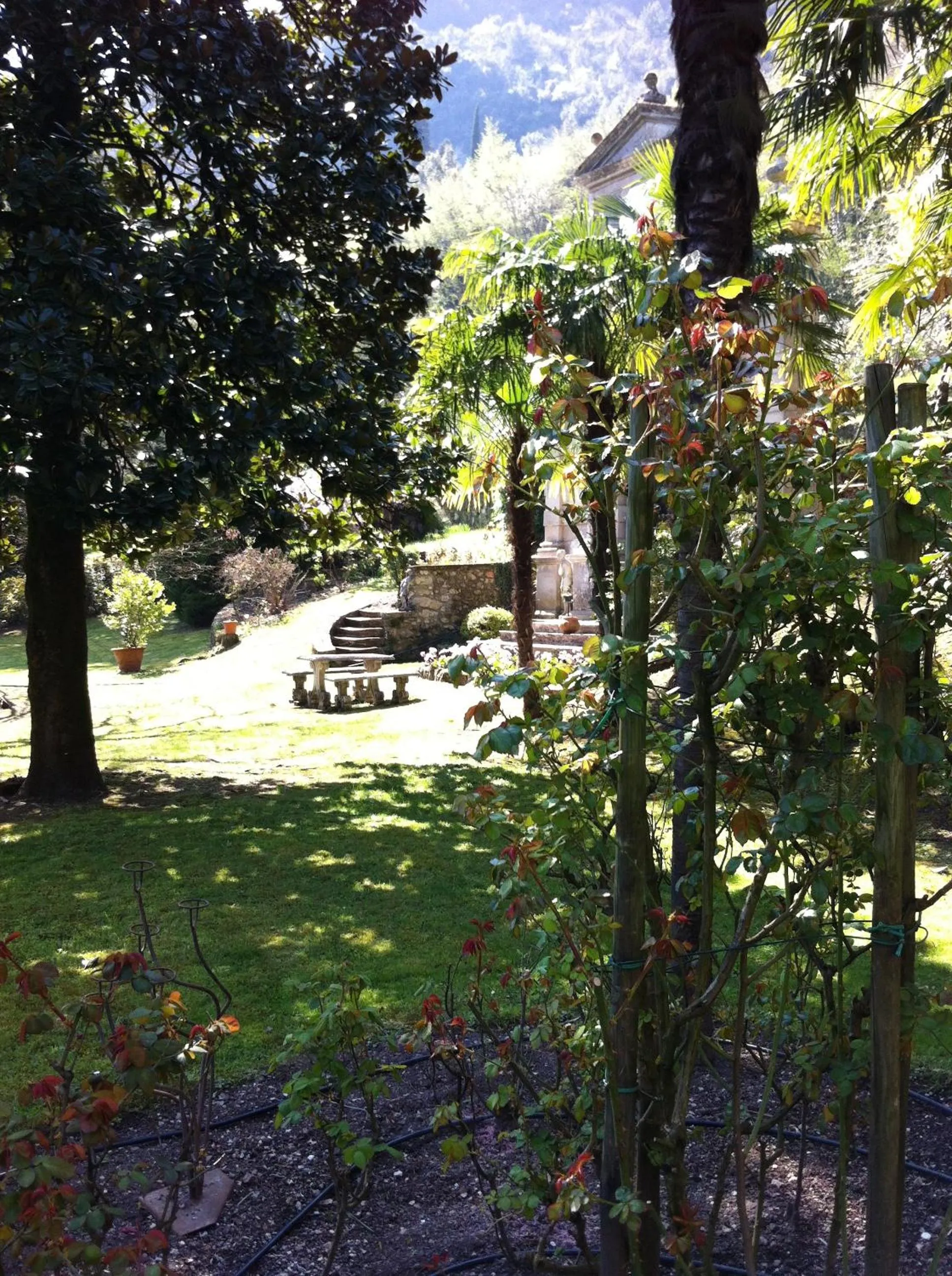 Garden in Villa Angelica