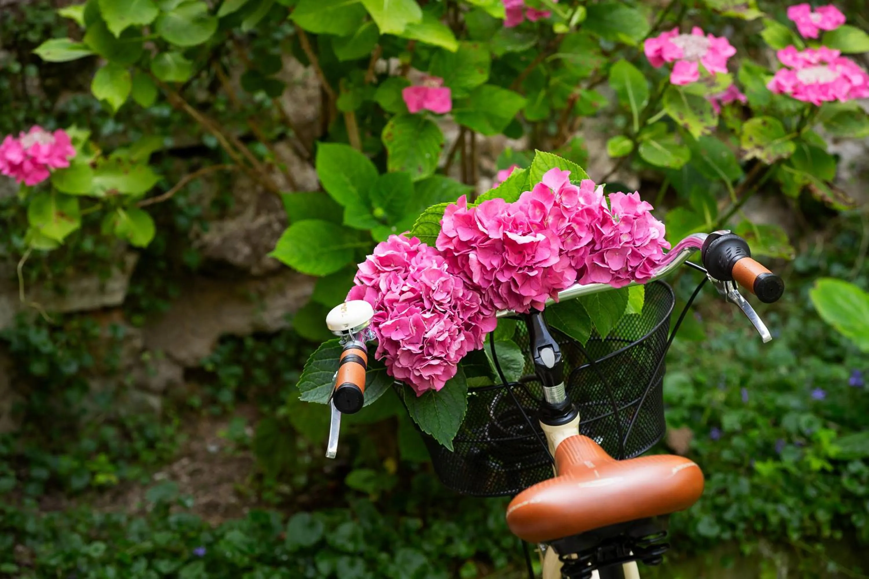 Decorative detail in Villa Angelica