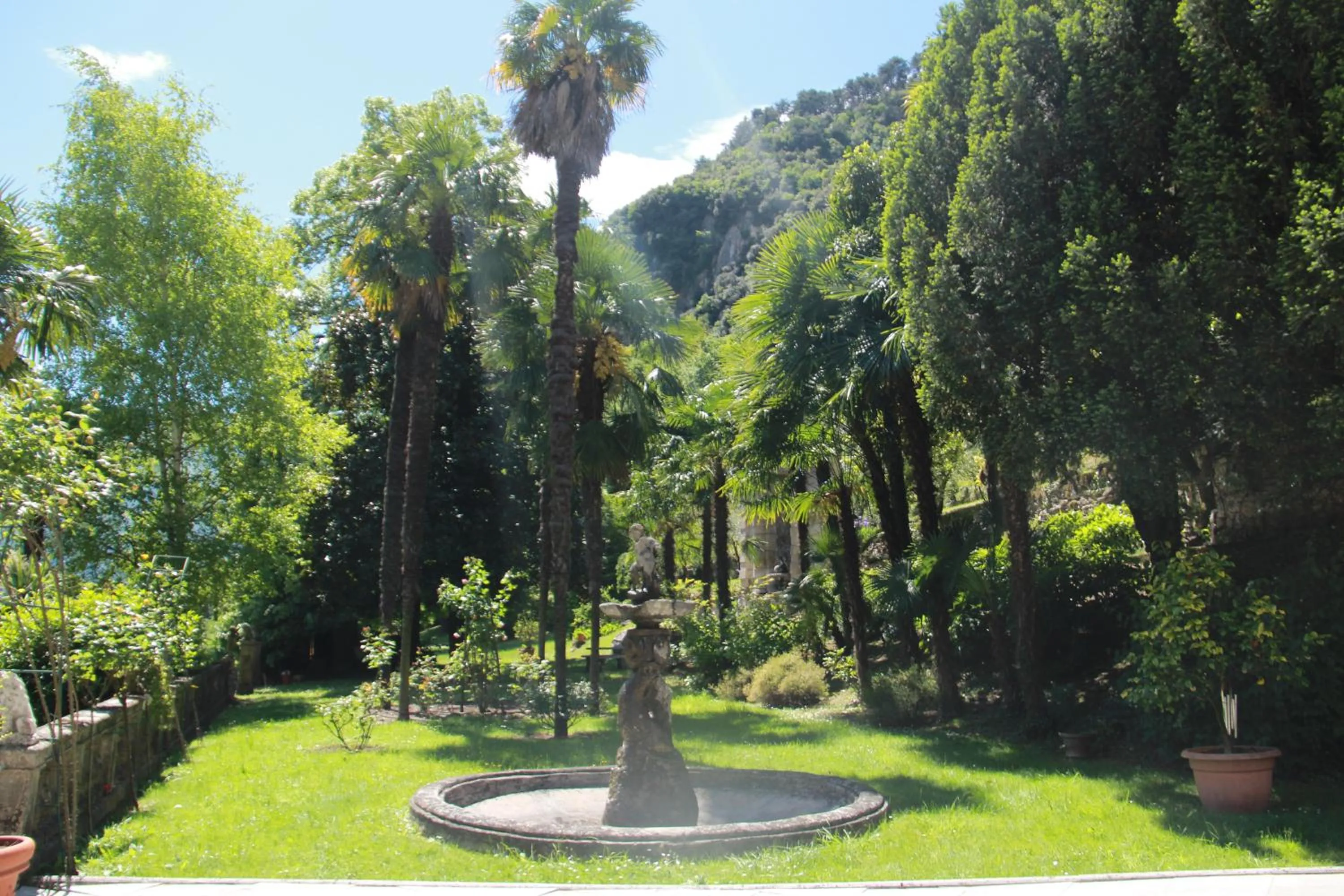 Garden in Villa Angelica