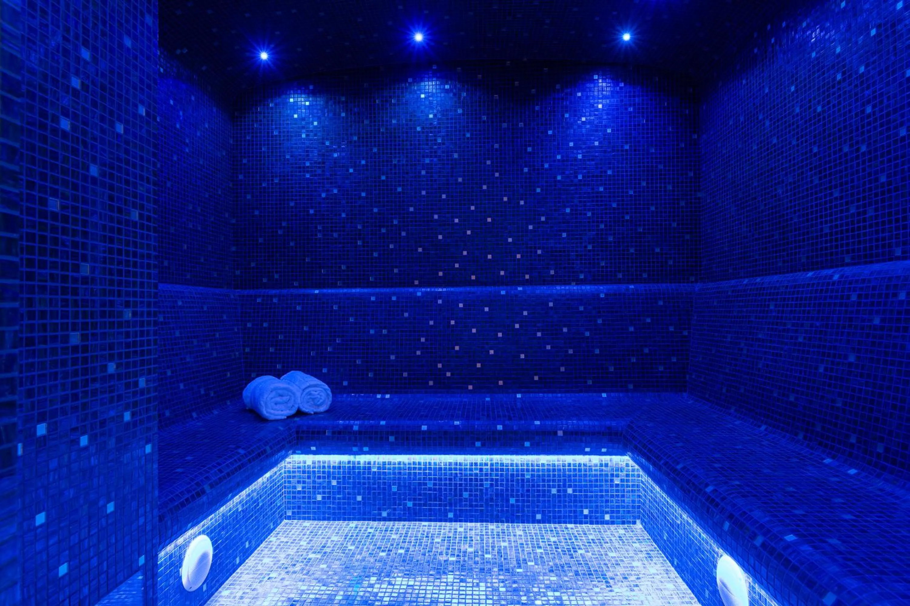 Steam room in Hôtel & SPA Napoléon