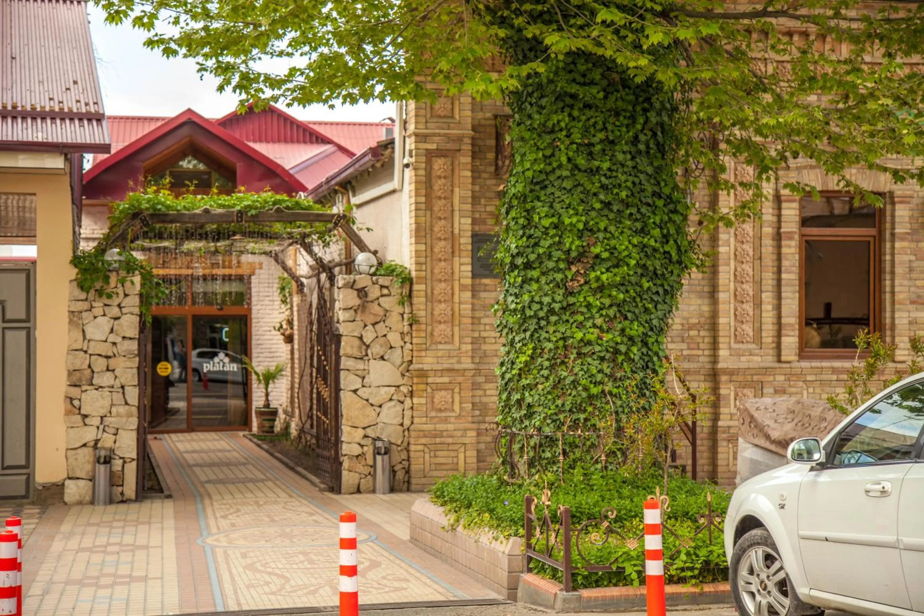 Restaurant/places to eat in Platan