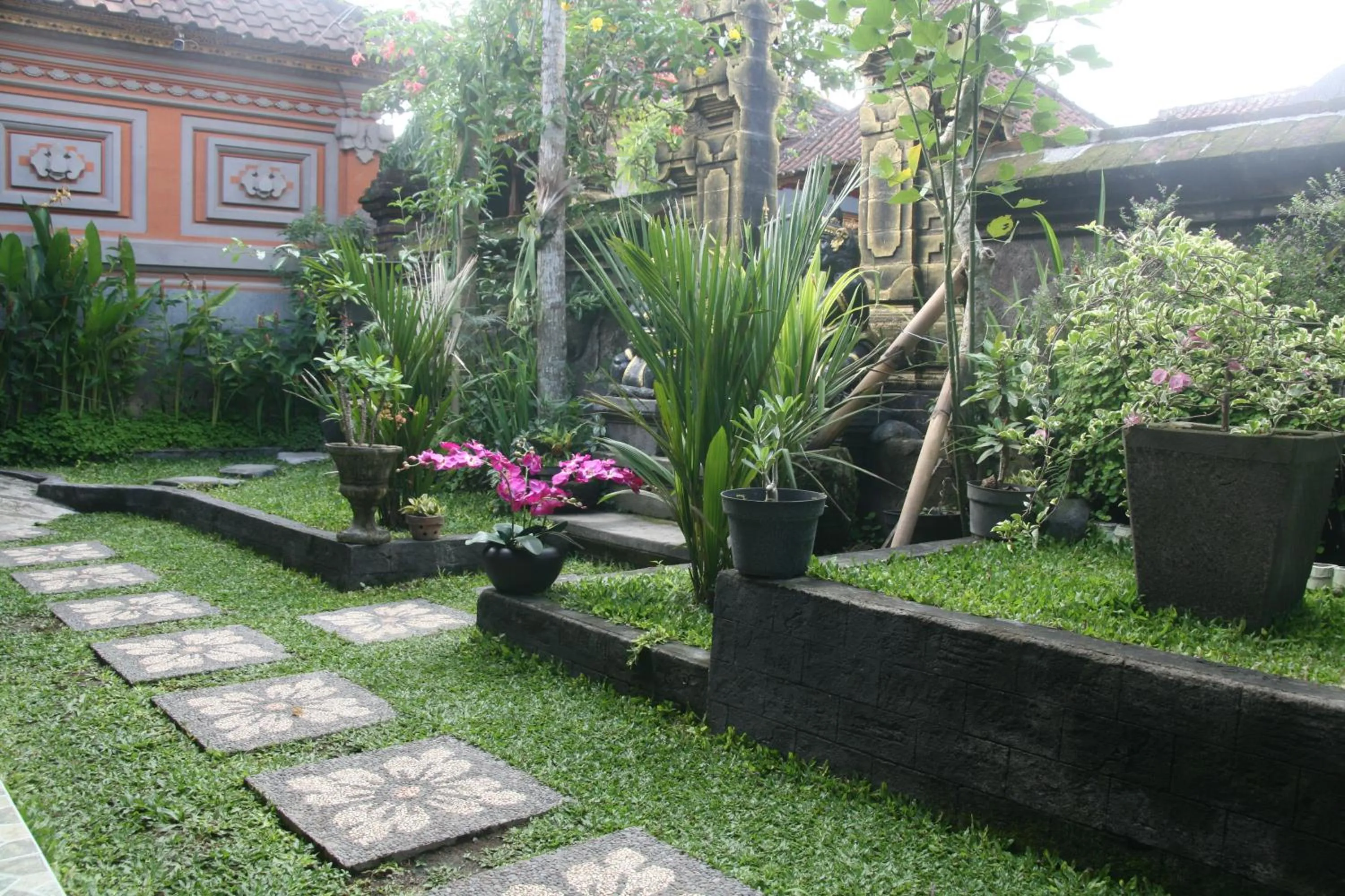Garden in Ojek's Homestay