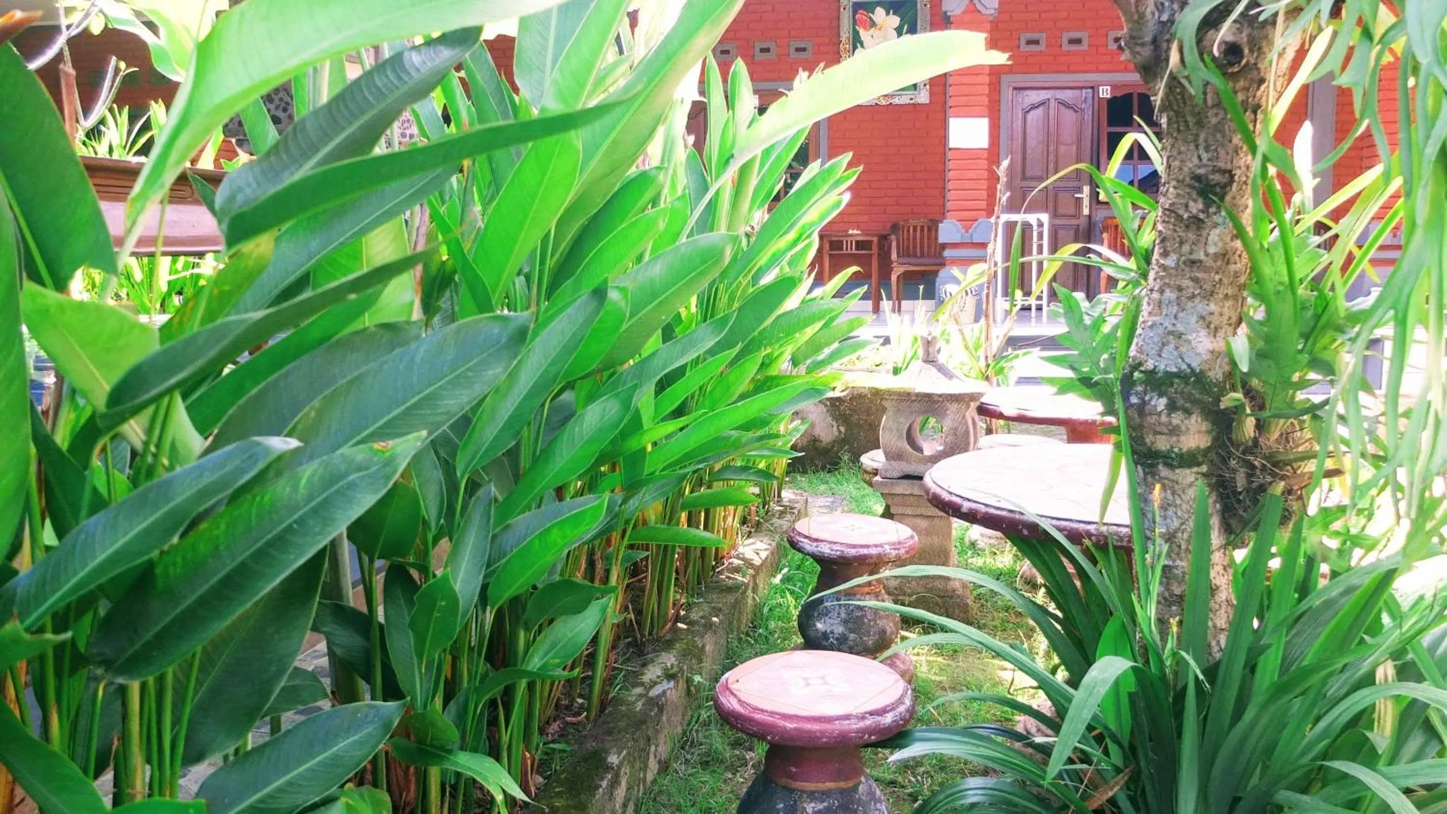 Patio in Ojek's Homestay