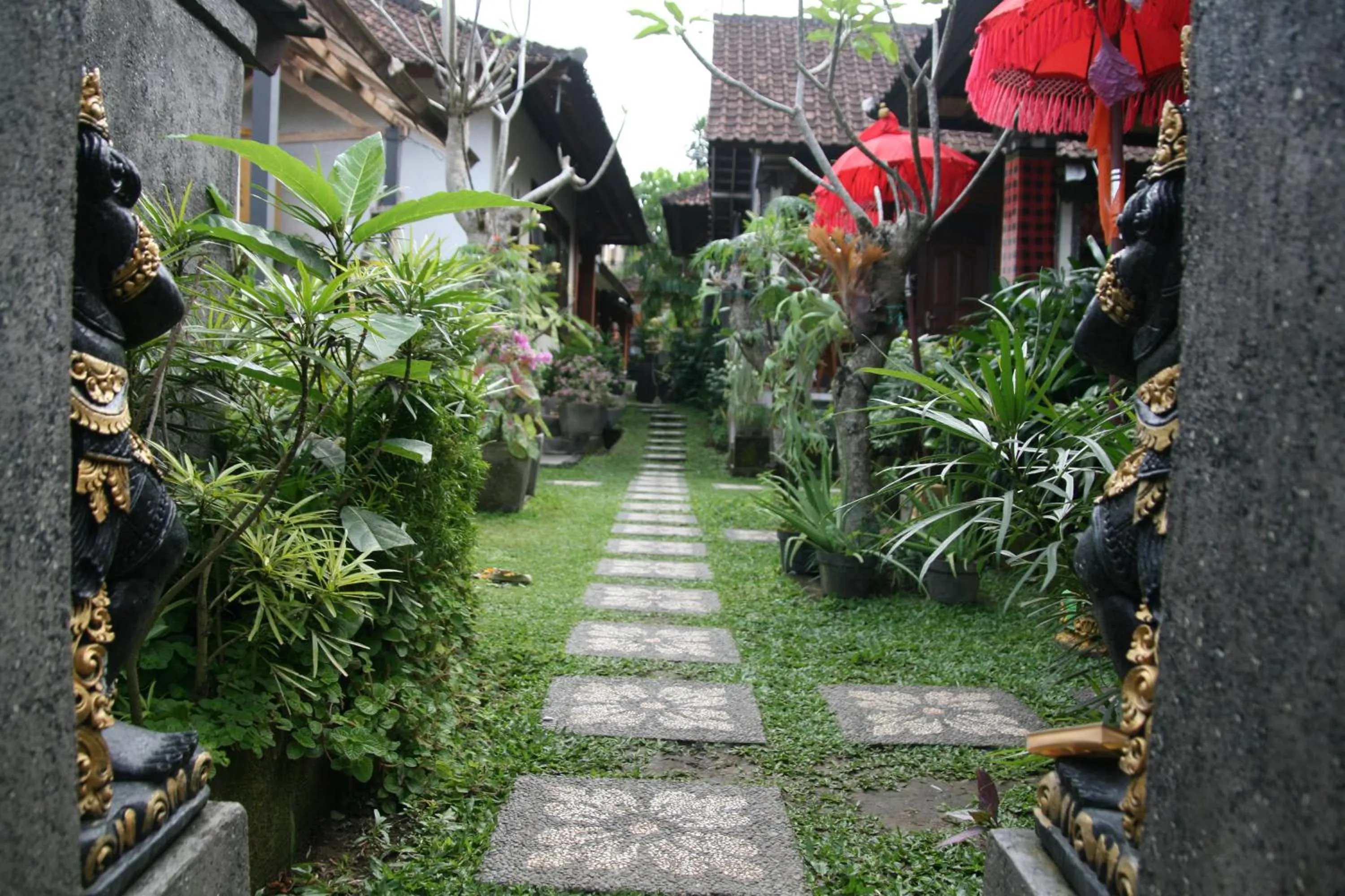 Garden view in Ojek's Homestay