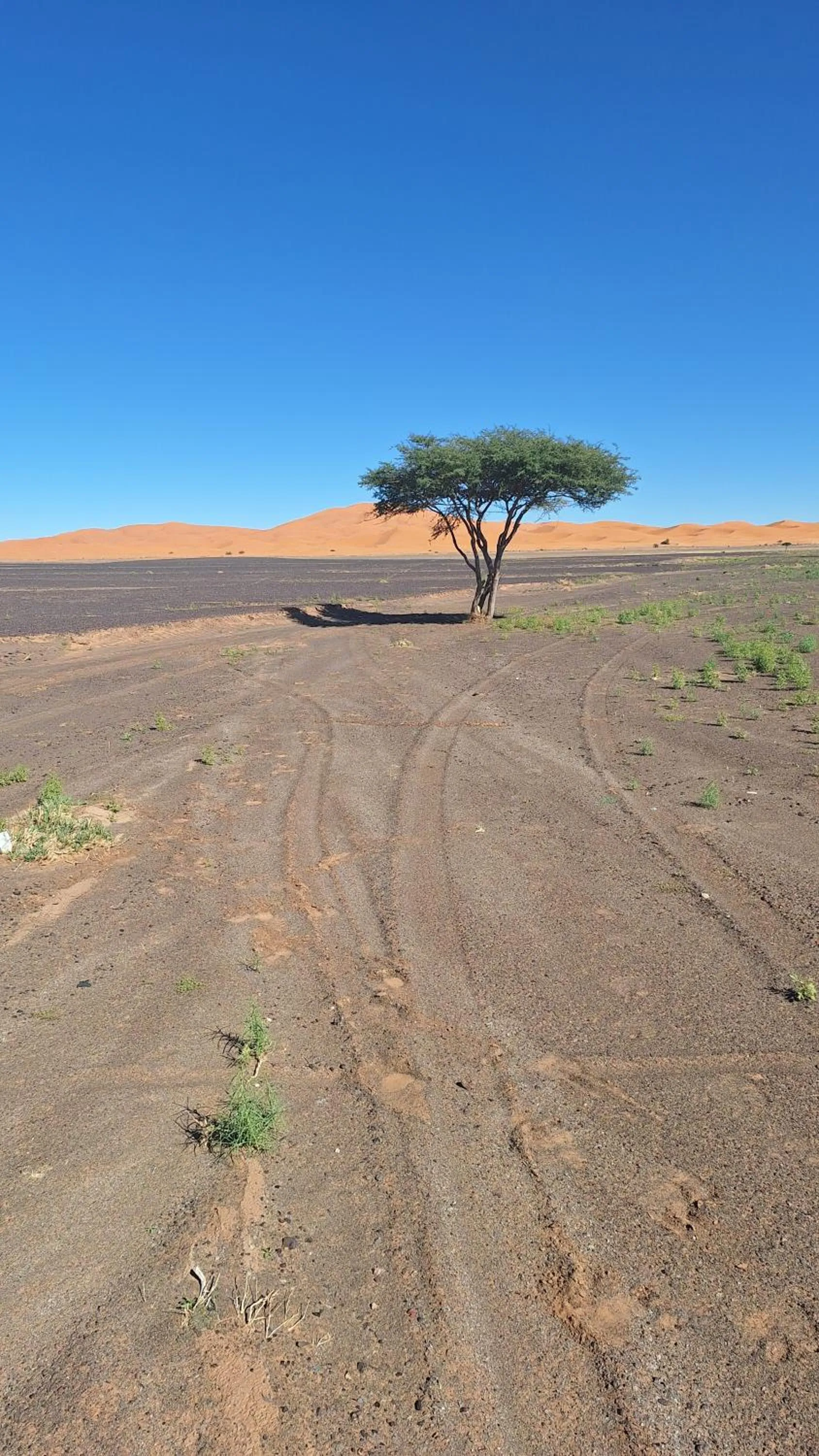 Natural landscape in Riad Merzouga Dunes
