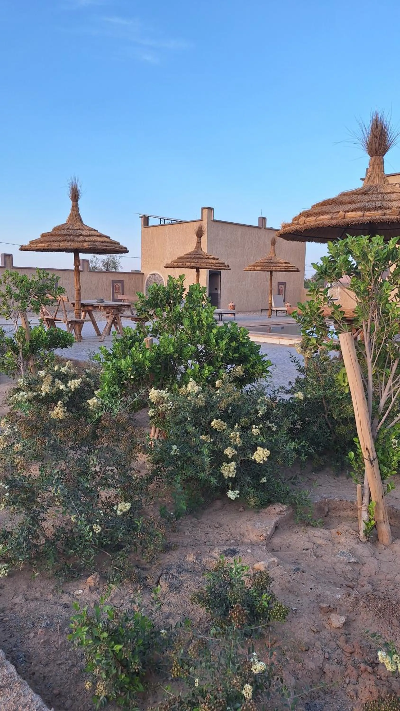 Garden in Riad Merzouga Dunes