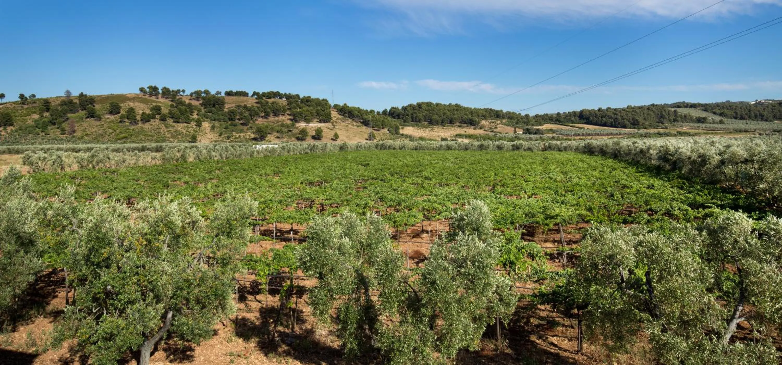 Property building in Agriturismo Posta Pastorella