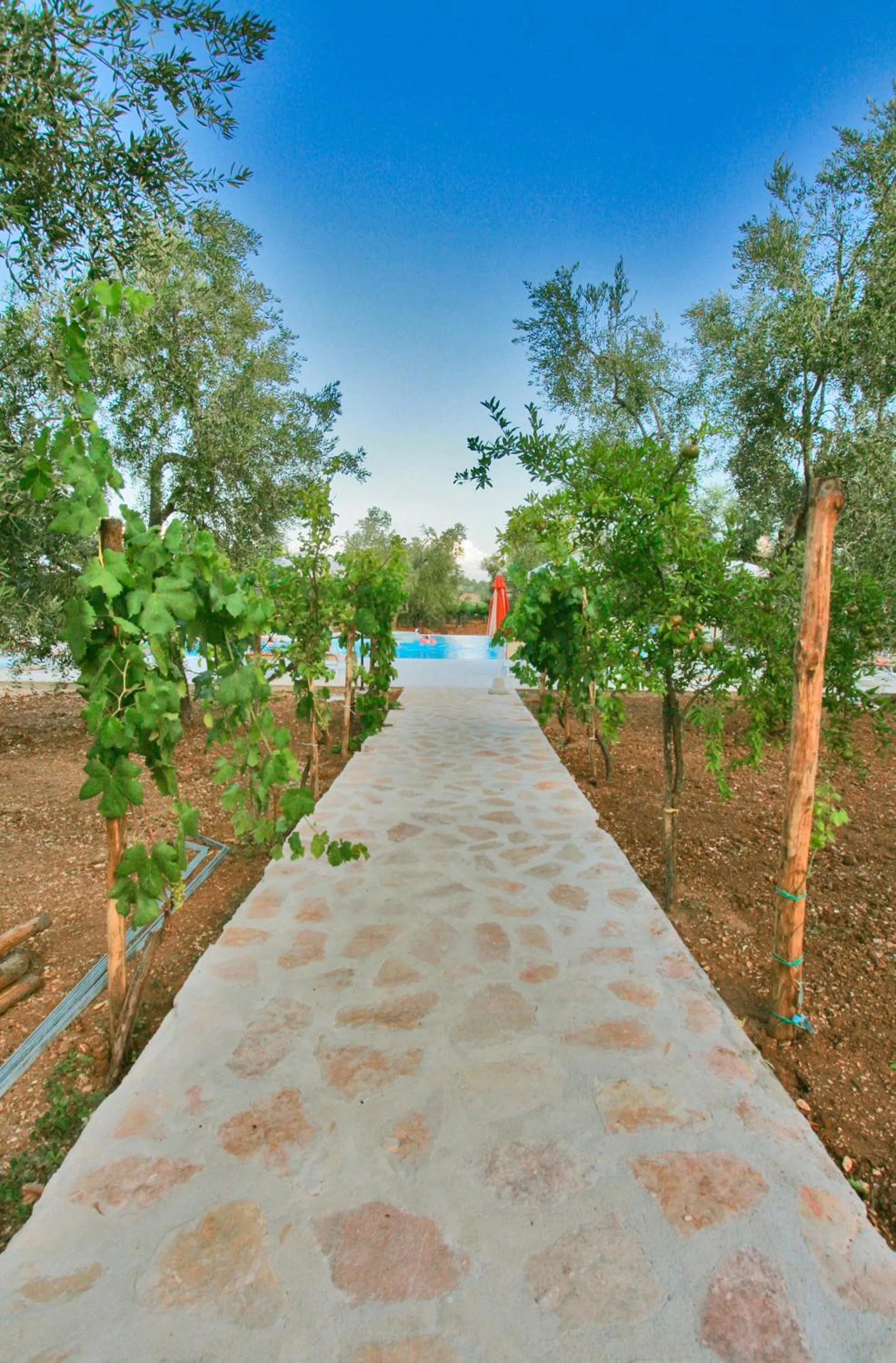 Swimming pool in Agriturismo Posta Pastorella