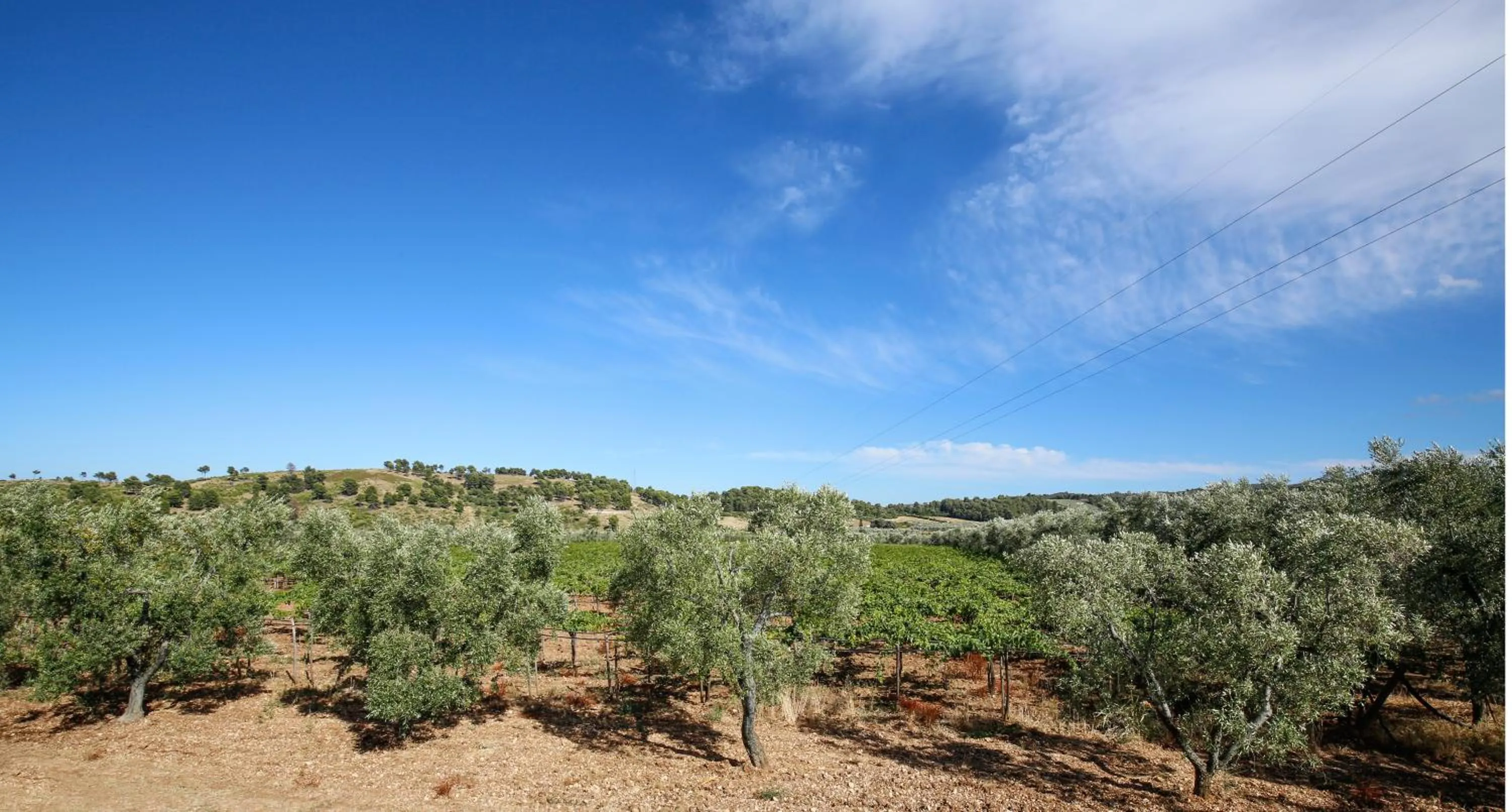 Property building in Agriturismo Posta Pastorella