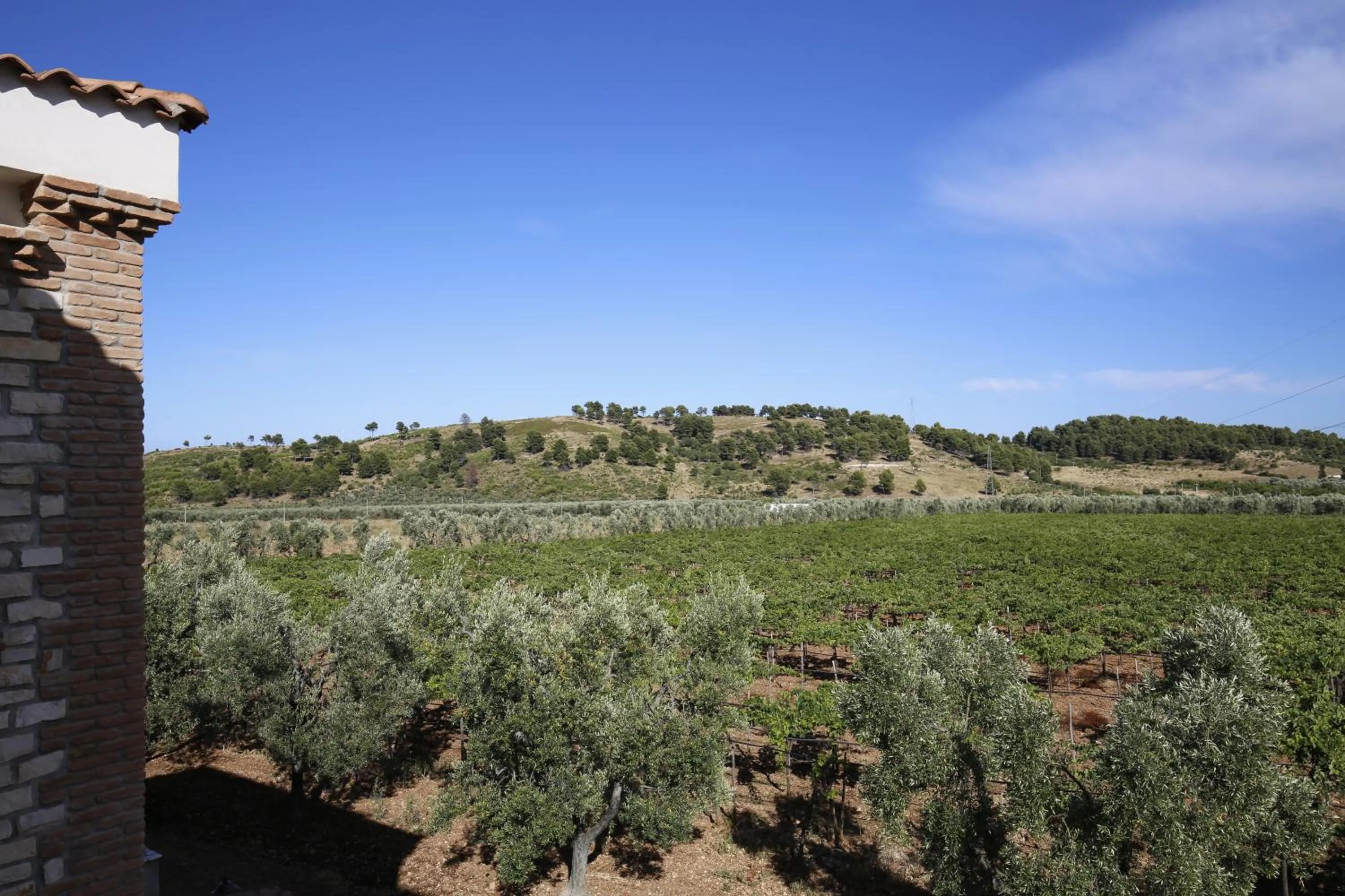 Bird's eye view in Agriturismo Posta Pastorella