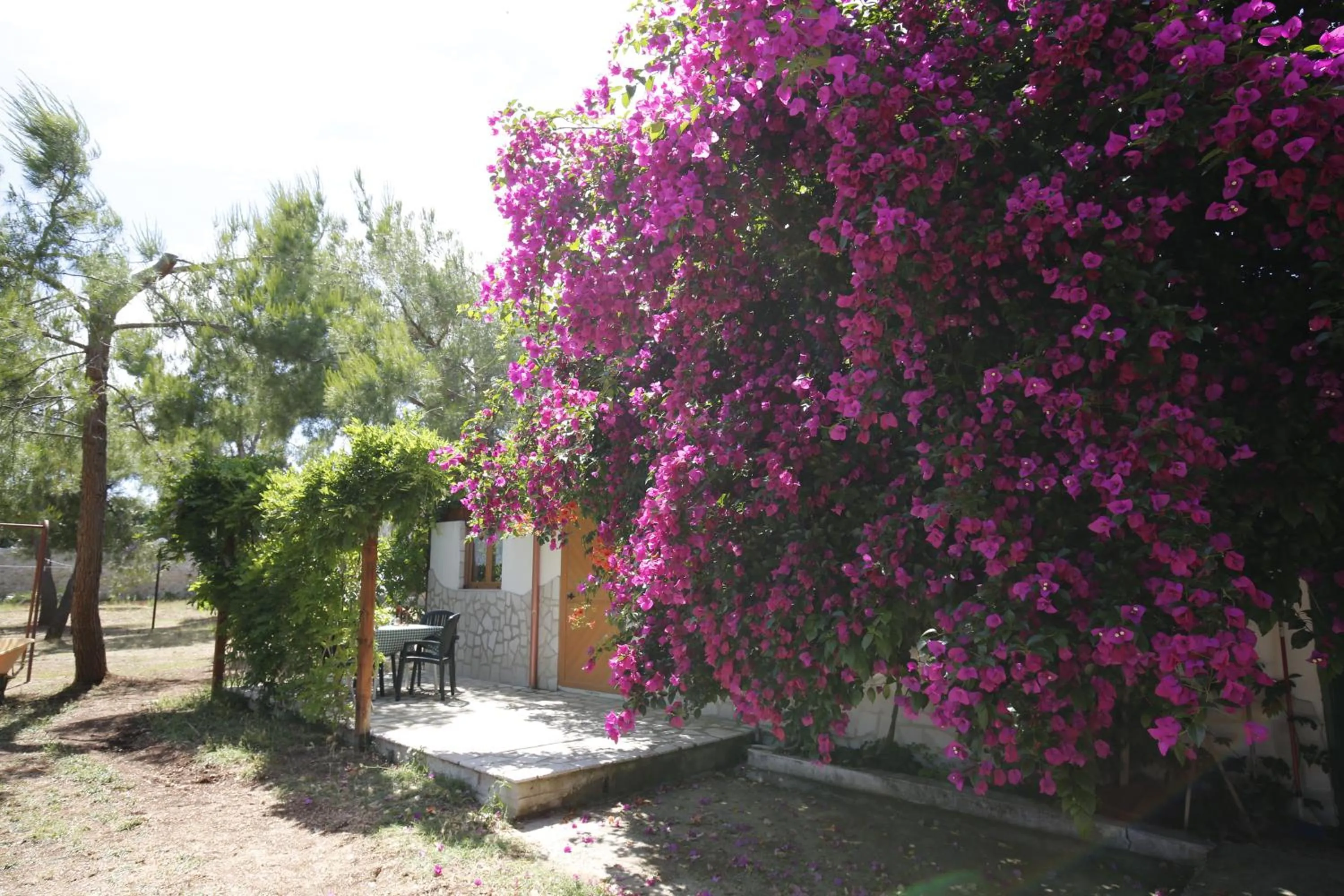 Garden in Agriturismo Posta Pastorella