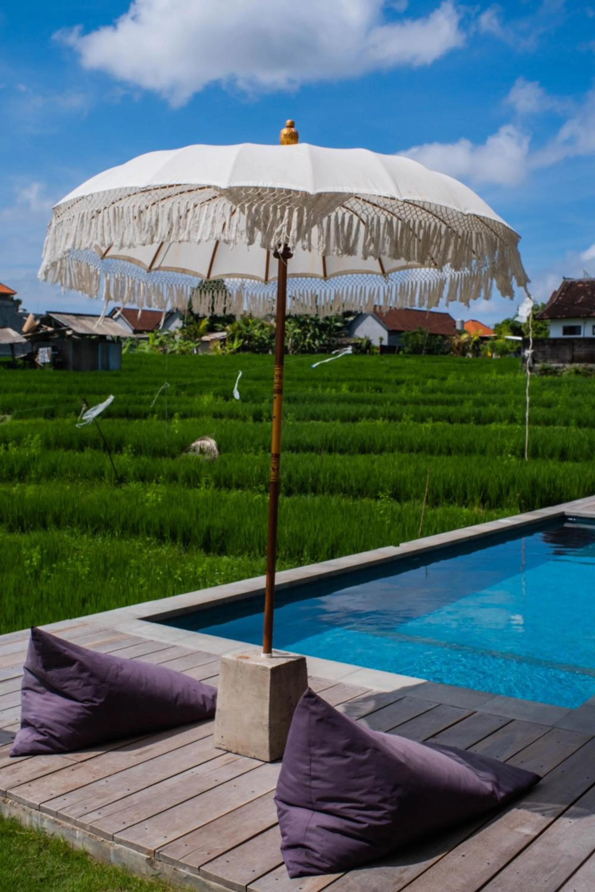 Swimming pool in Backyard Canggu