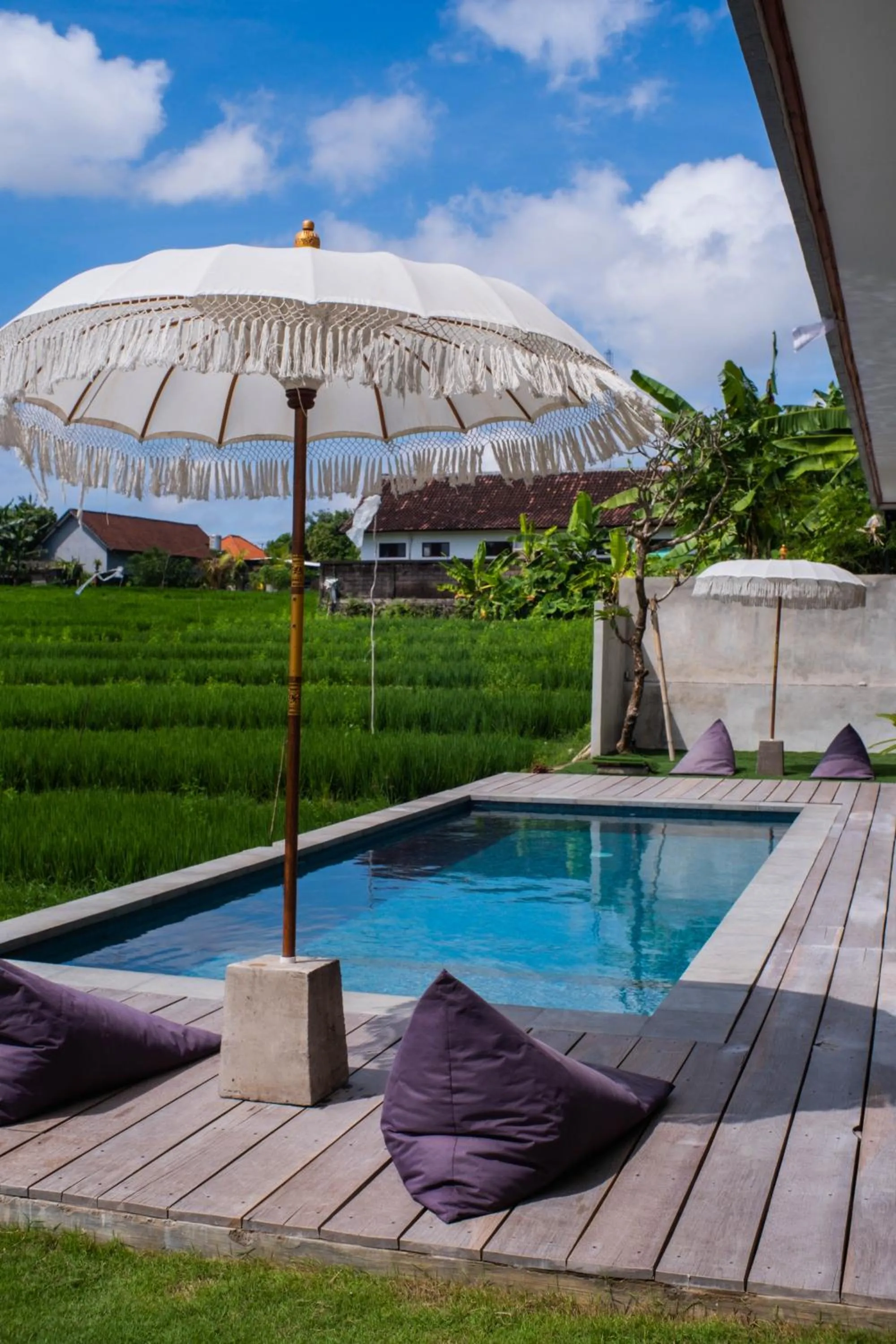Swimming pool in Backyard Canggu