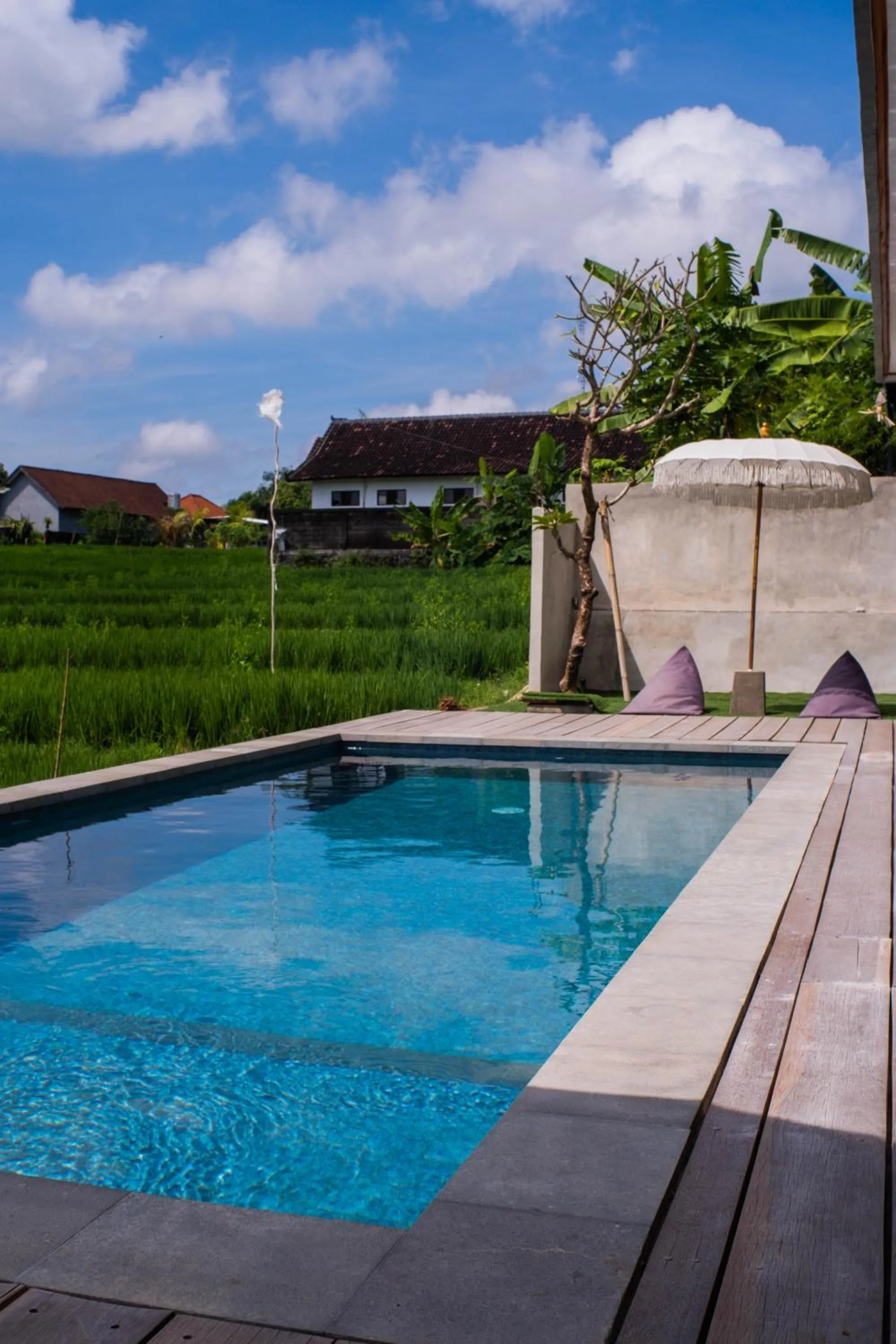 Backyard Canggu