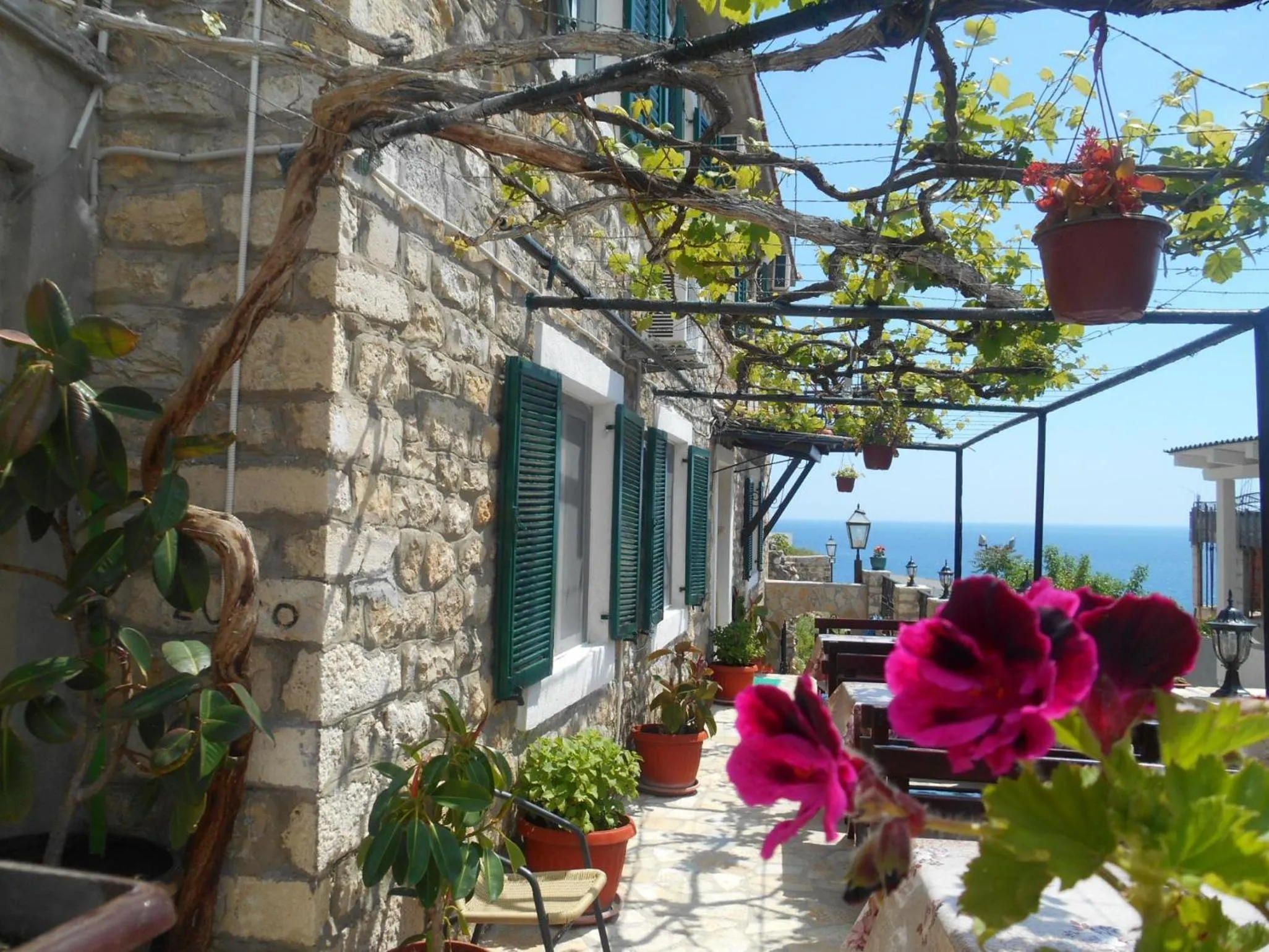 View (from property/room) in Apartments Zuto