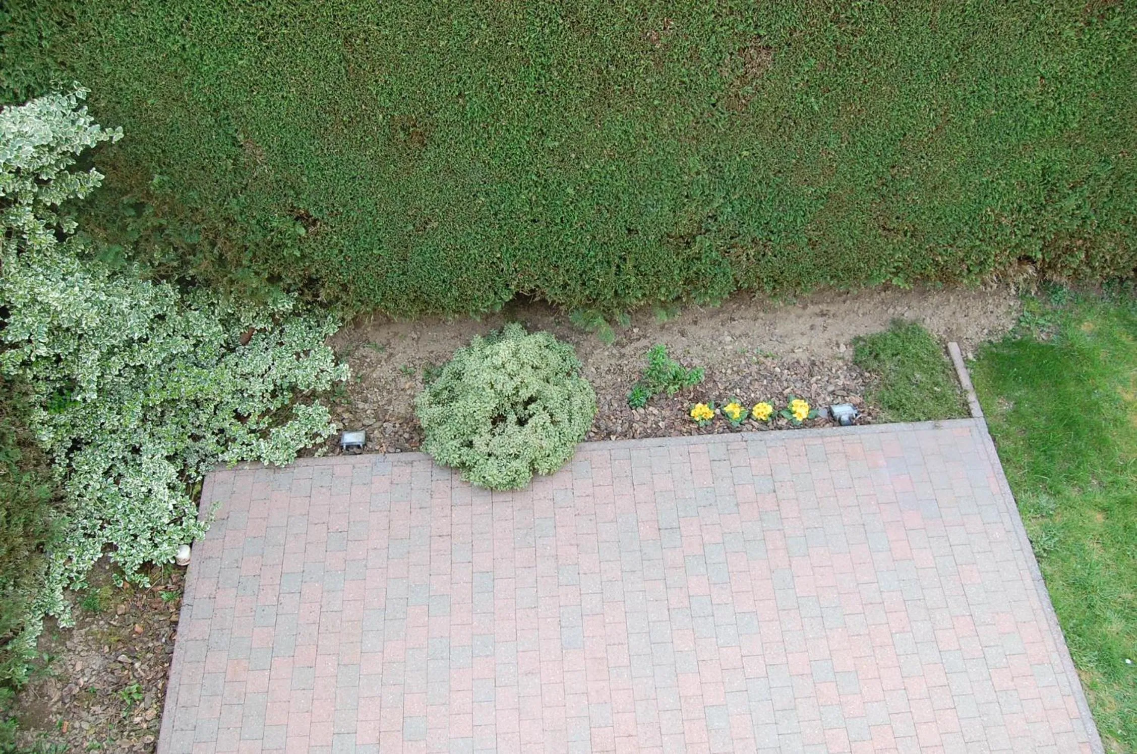 Spring in B&B Des Bois Sans Nombre