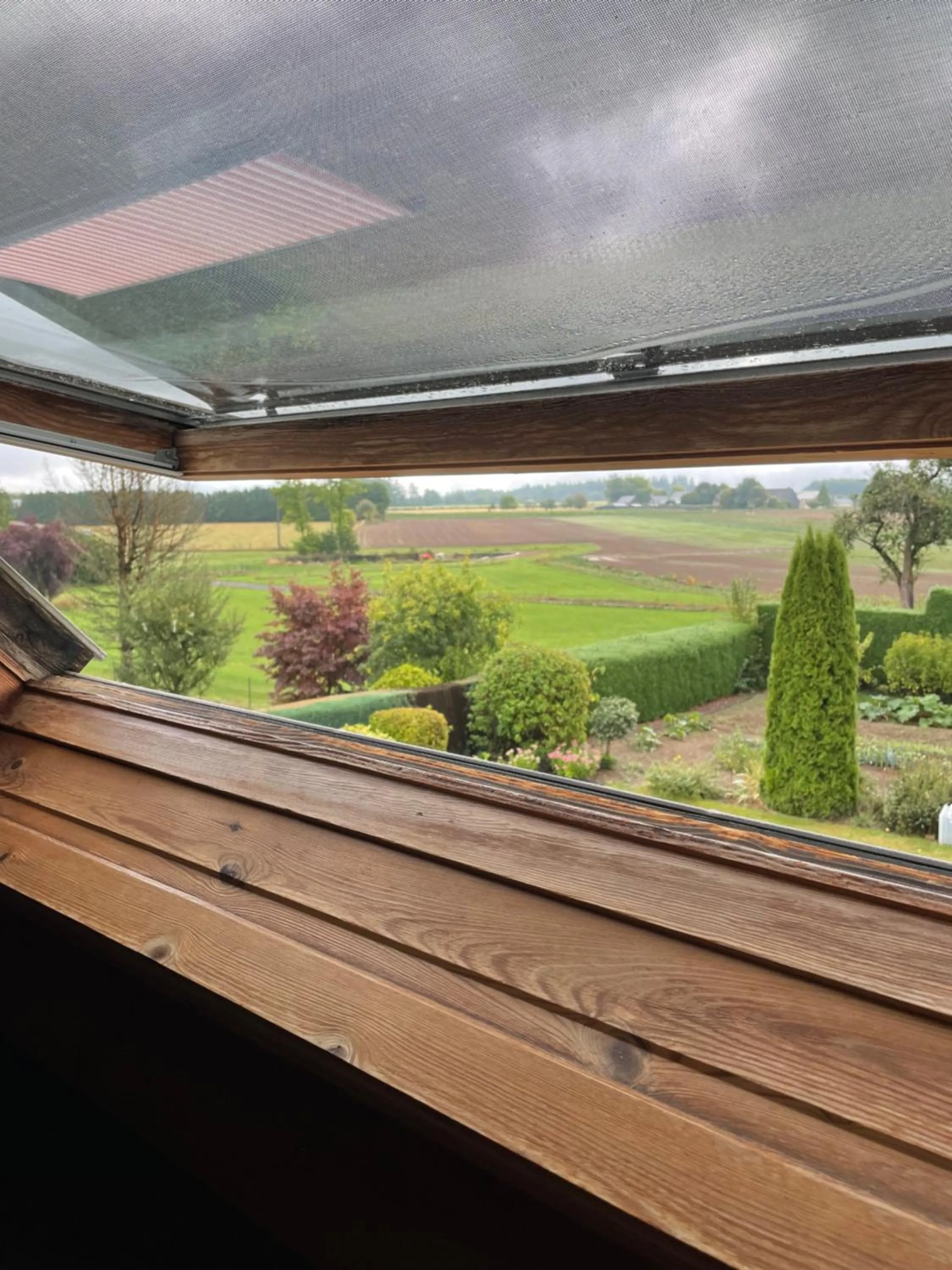 Garden view in B&B Des Bois Sans Nombre