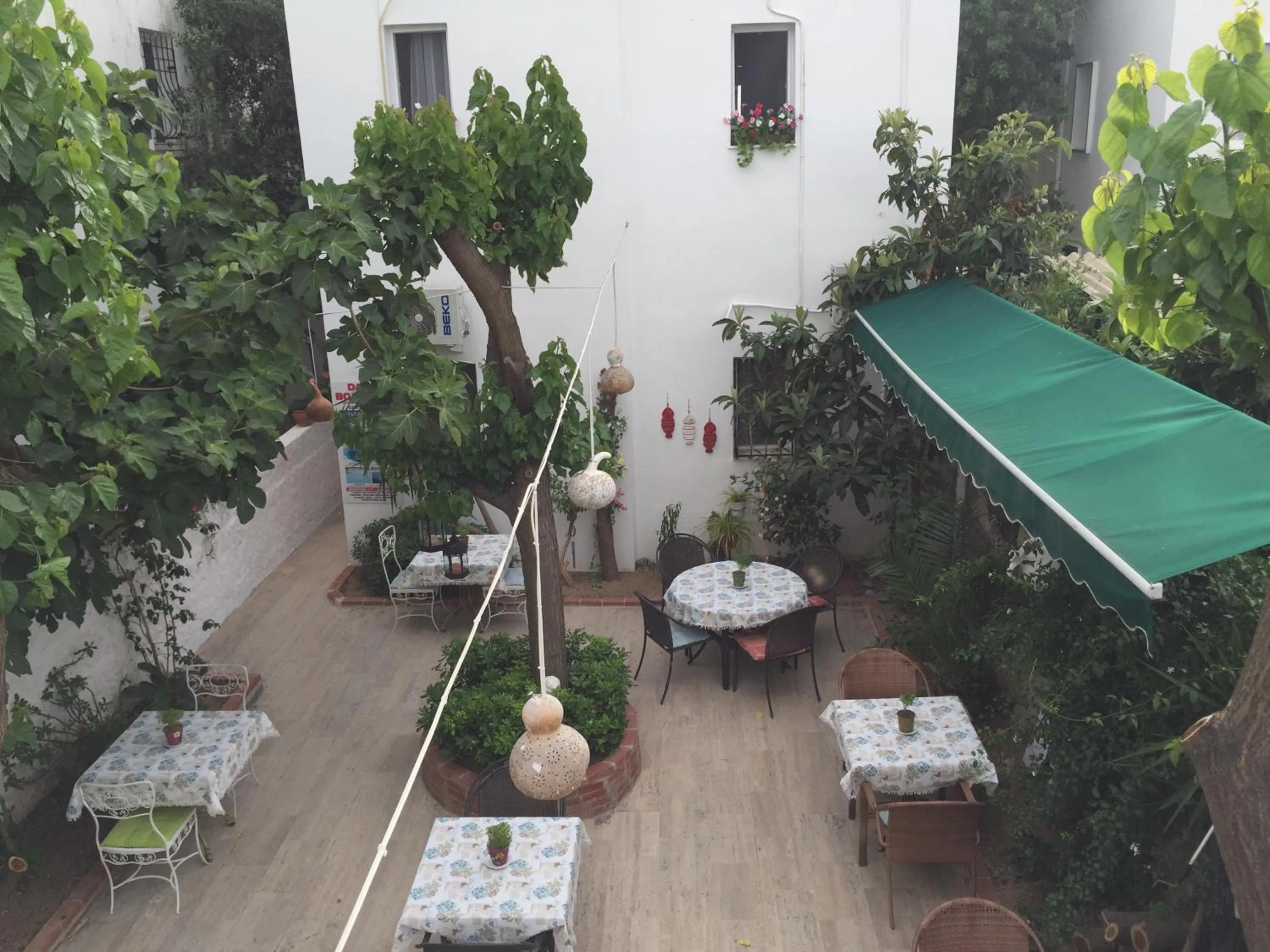 Restaurant/places to eat in Tay Pansiyon