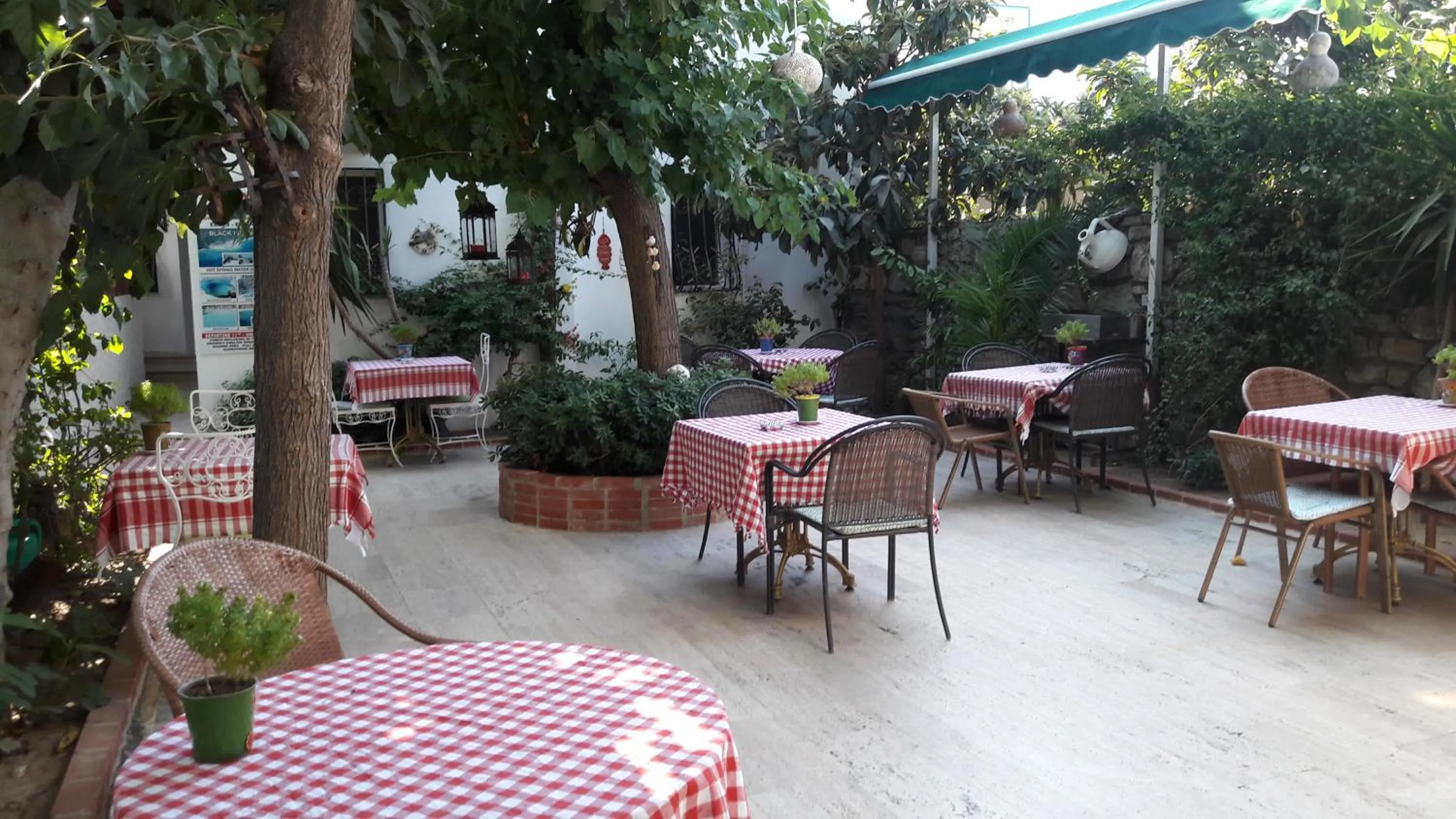 Garden in Tay Pansiyon