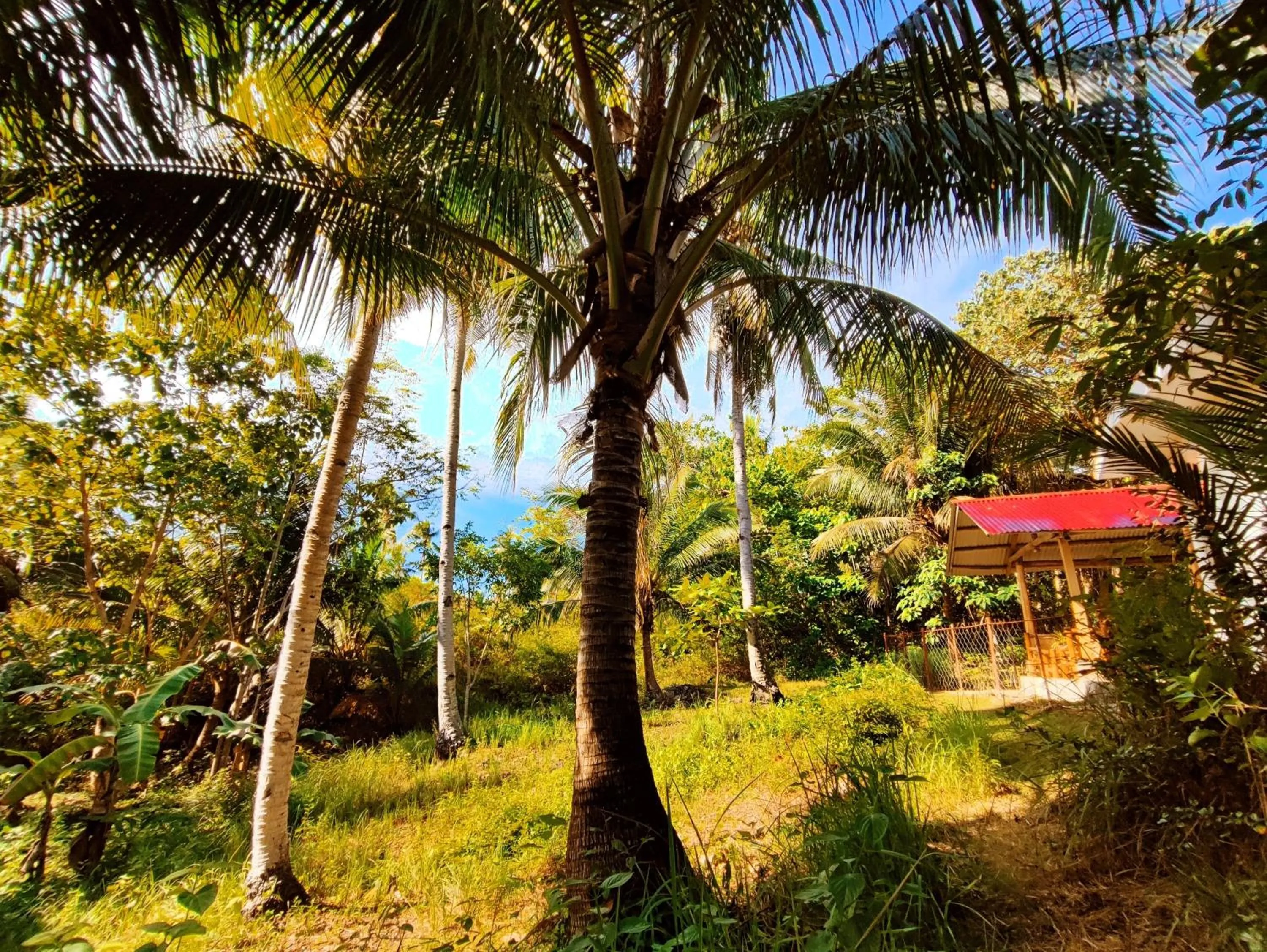 Natural landscape in Rose Apartments